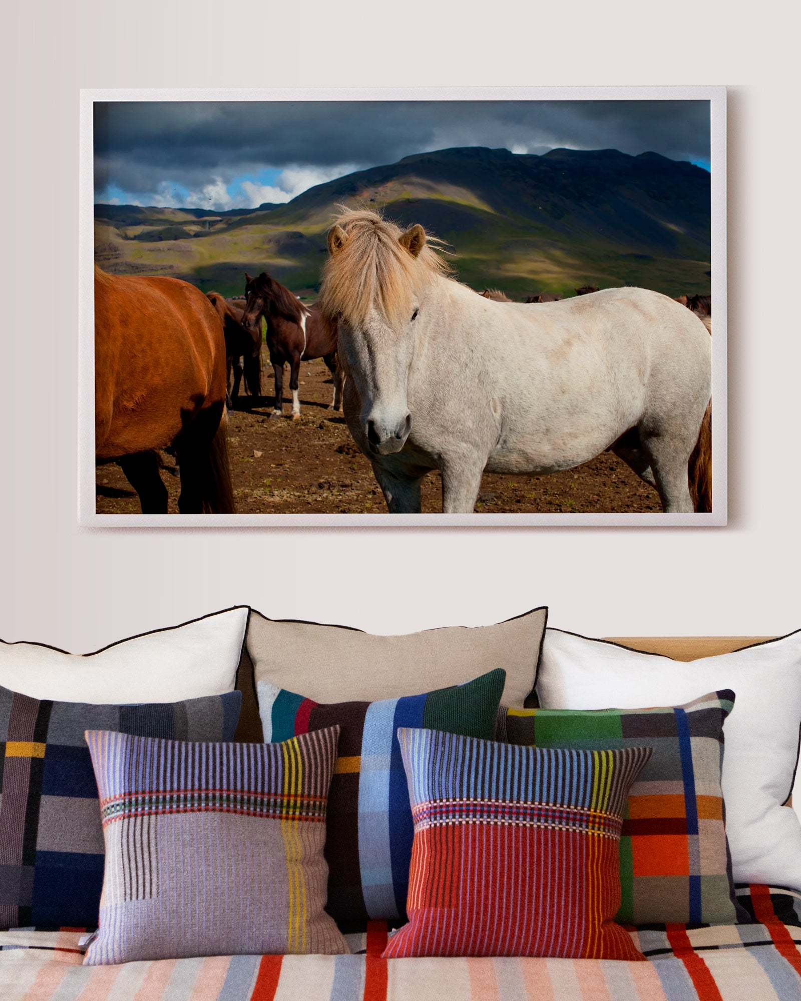 Southern Icelandic Horses by Nick Turner