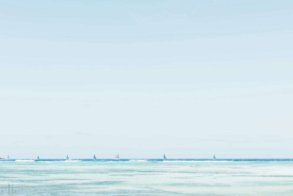 Les Voiles by Kate Holstein