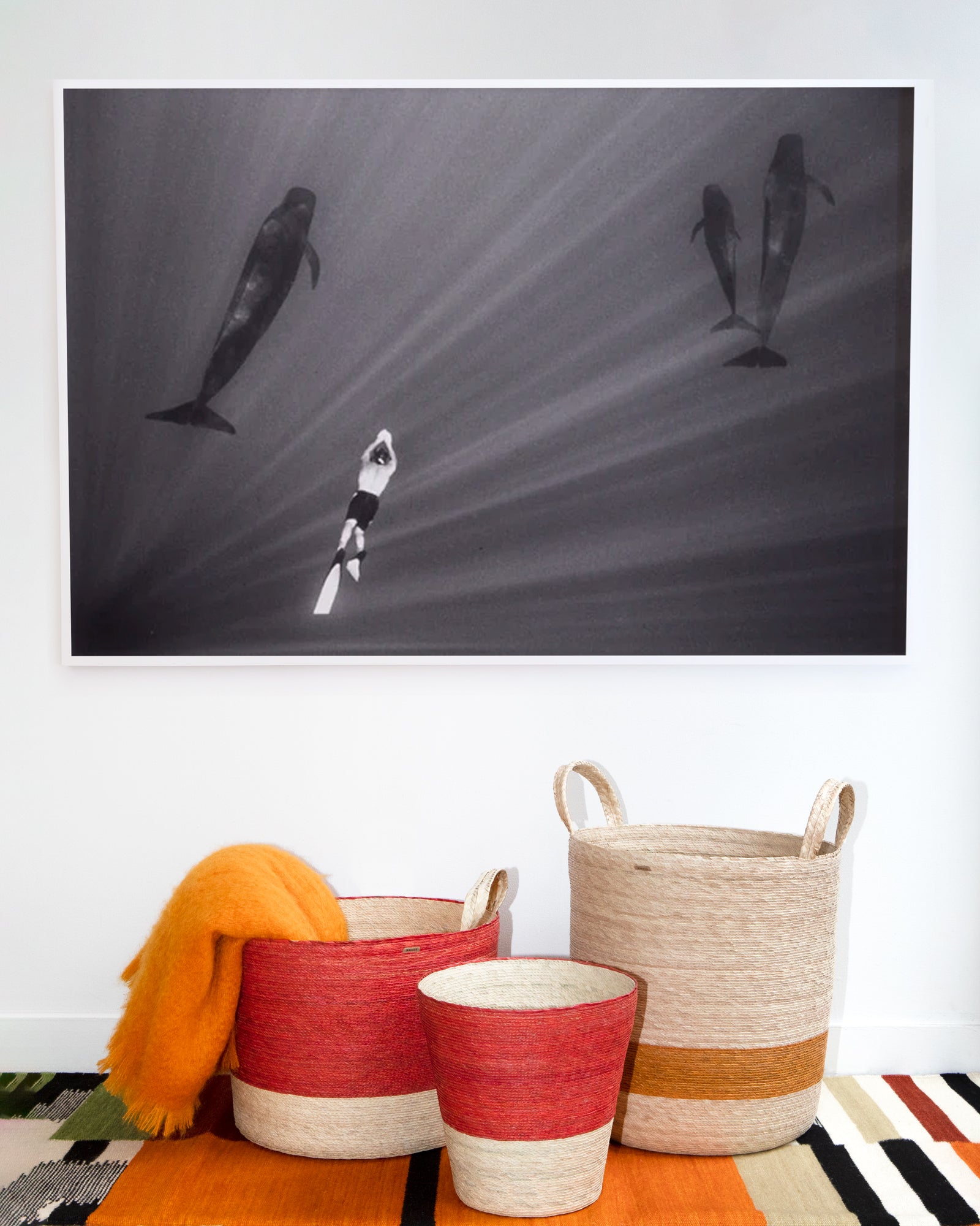 Swimming with Pilot Whales (W-21) by Wayne Levin