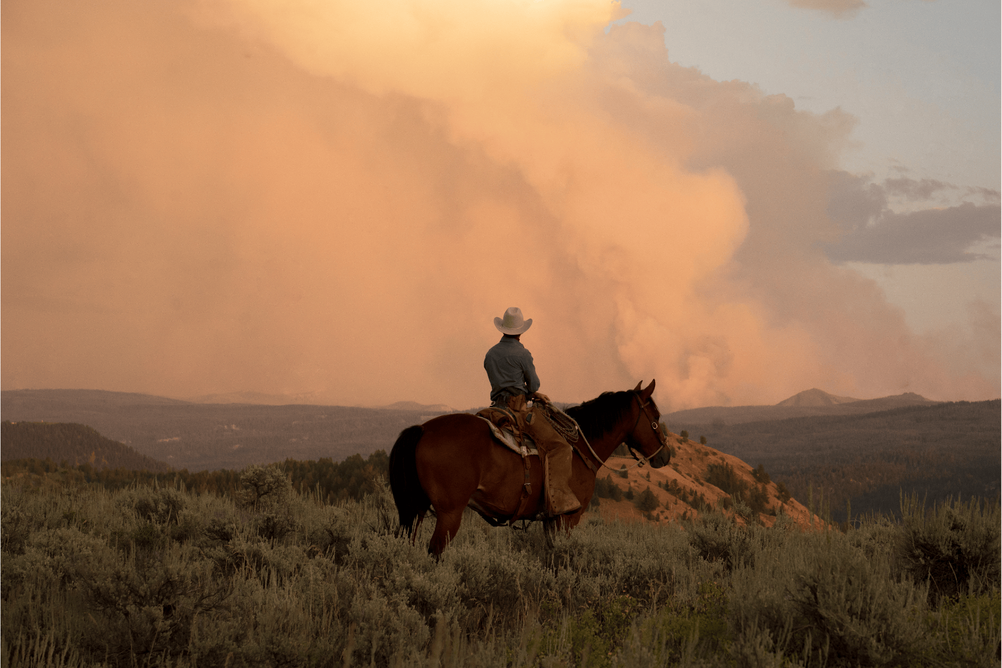 Riding The Ridge by Nick Turner
