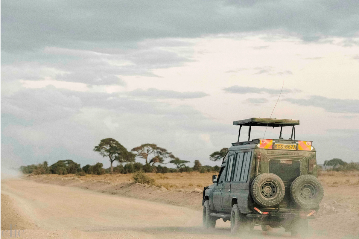 Landy by Juliette Charvet
