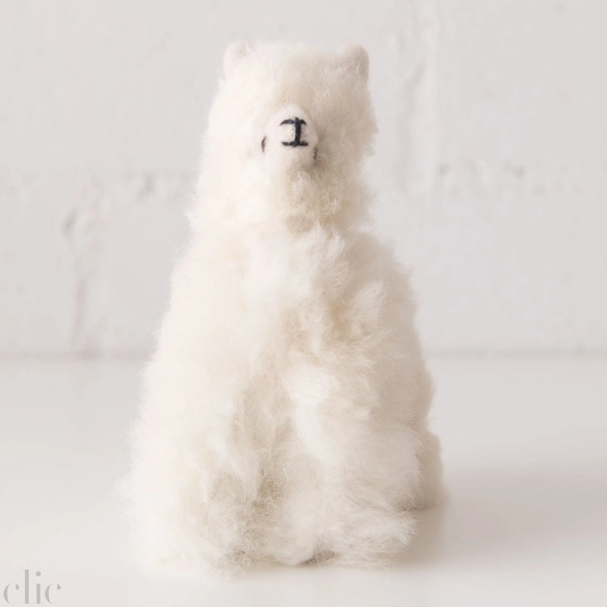 Small Llama in White