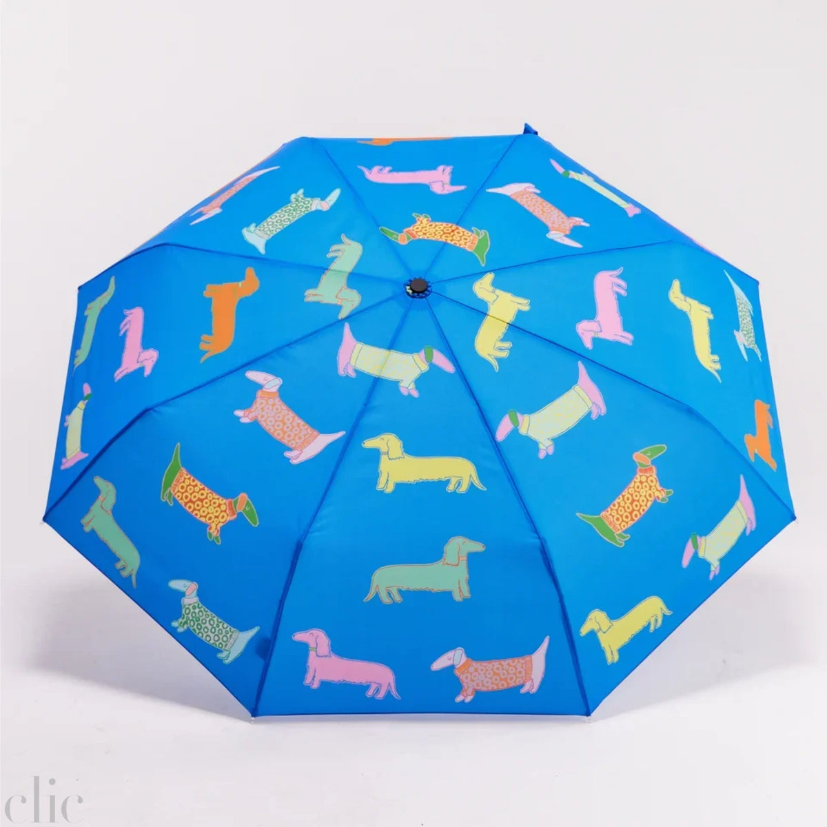 Dachshund Dogs Compact Umbrella in Blue, from Original Duckhead