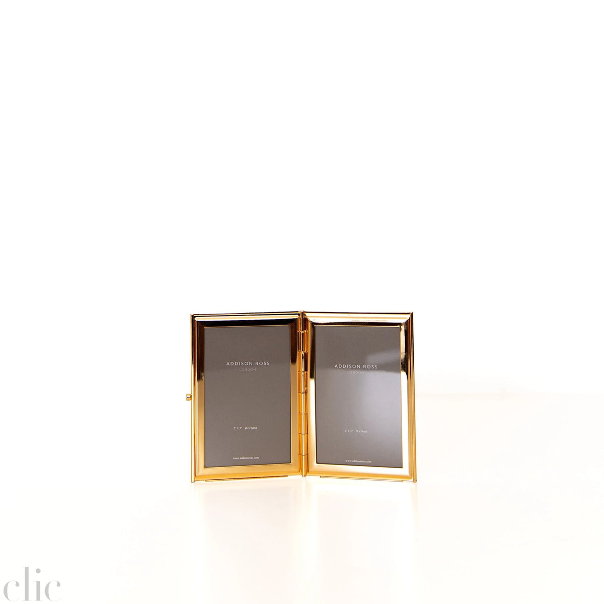Travel Frame in chiffon and Gold