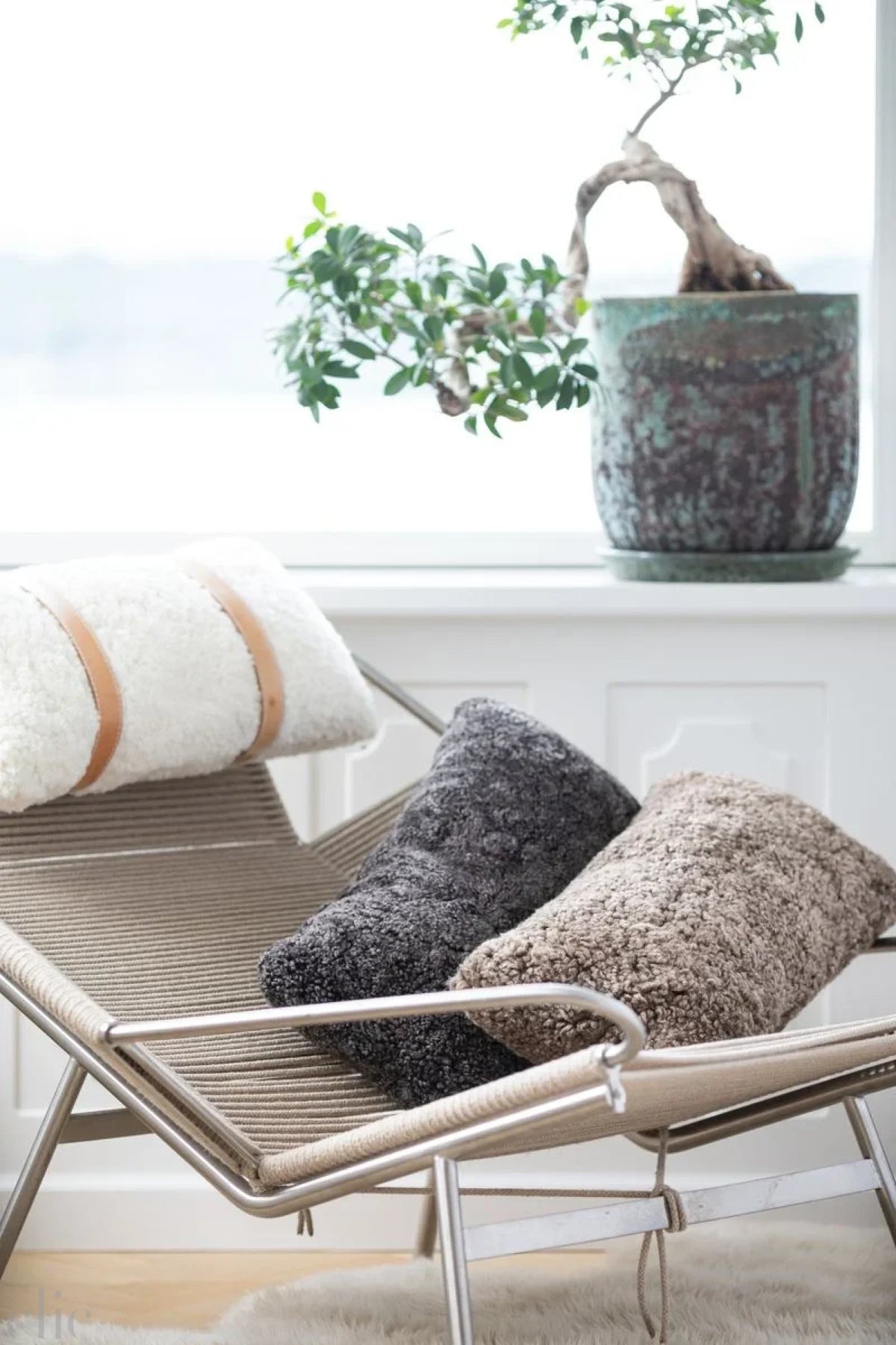 Curly Sheepskin Cushion in Graphite