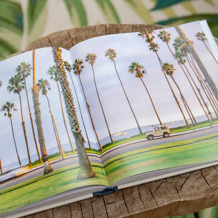 Surf Rides Book