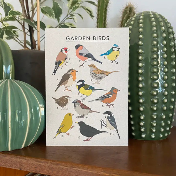 British Garden Birds Card