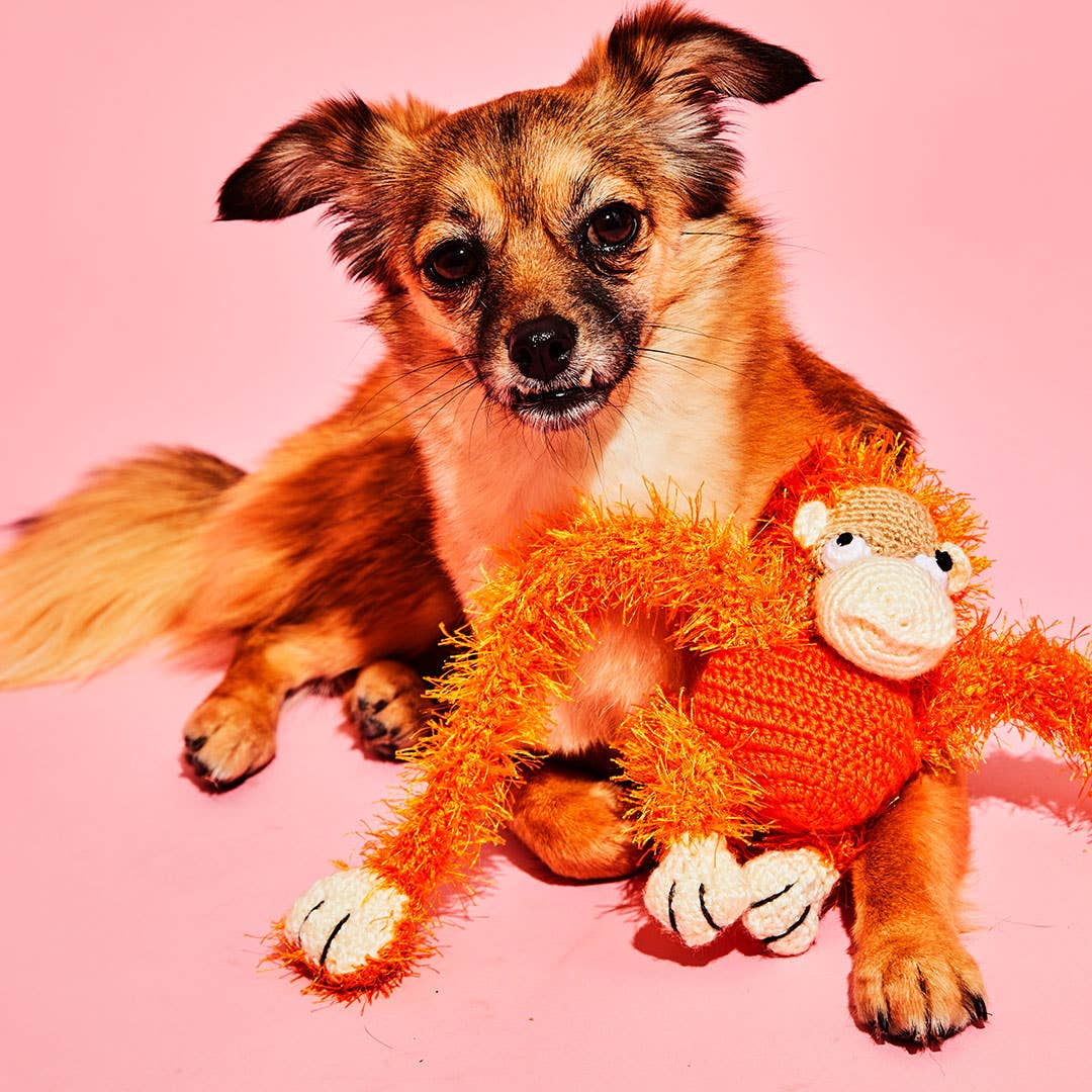 Hand Crochet Monkey, from Ware of the Dog