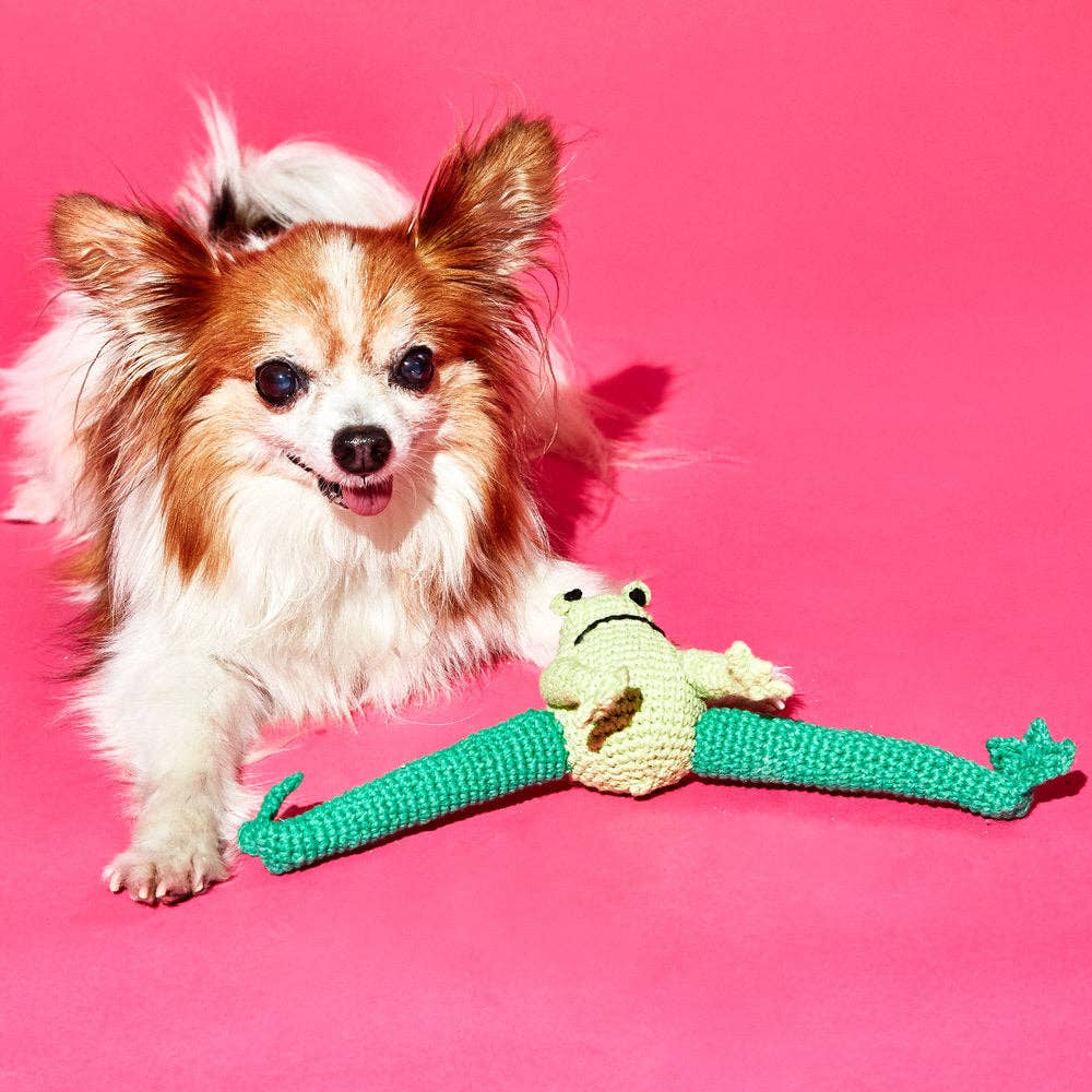 Hand Crochet Frog, from Ware of the Dog