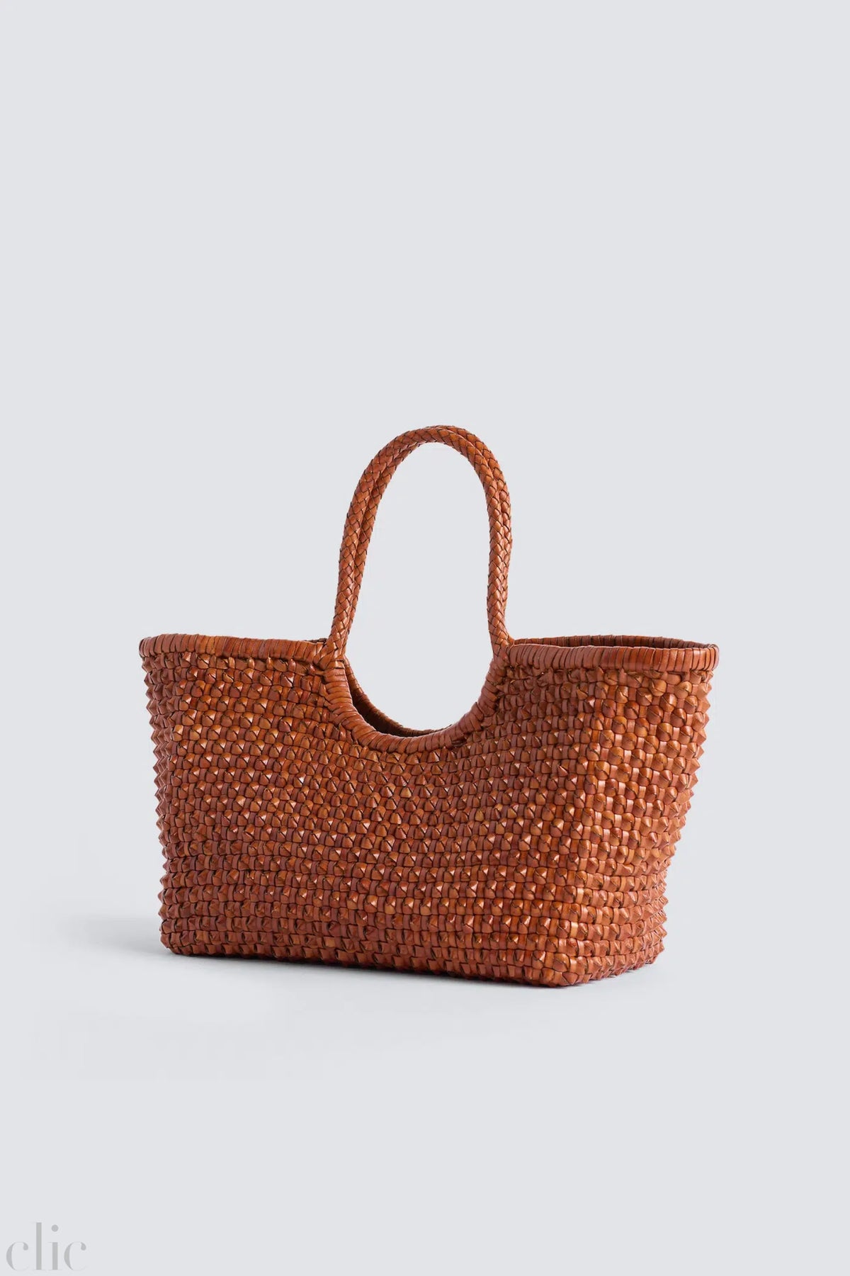 Nantucket Cactus Bag in Tan, from Dragon Diffusion
