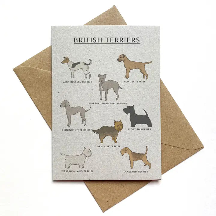 British Terriers Illustrated Card