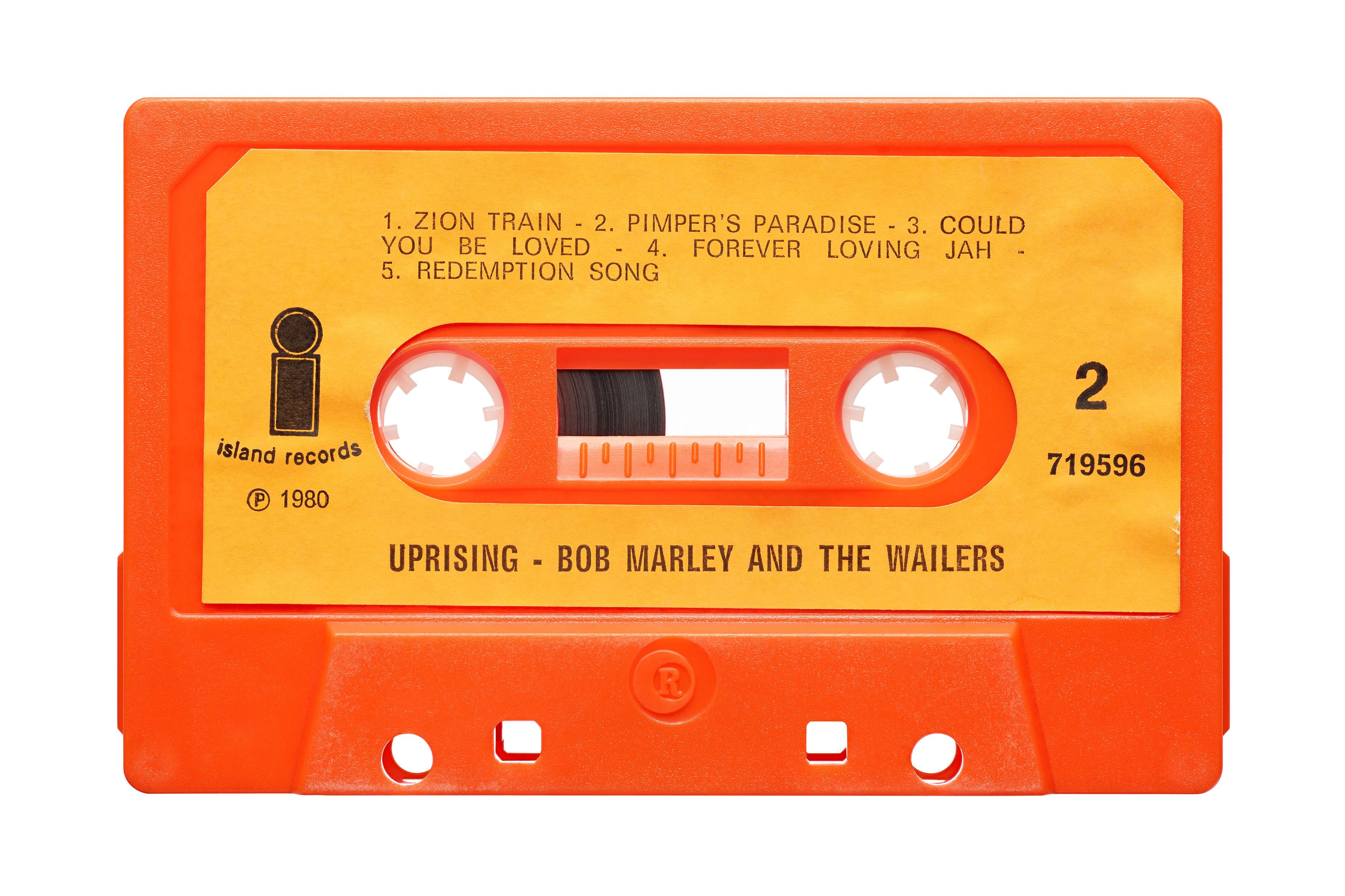 Bob Marley - Uprising by Julien Roubinet