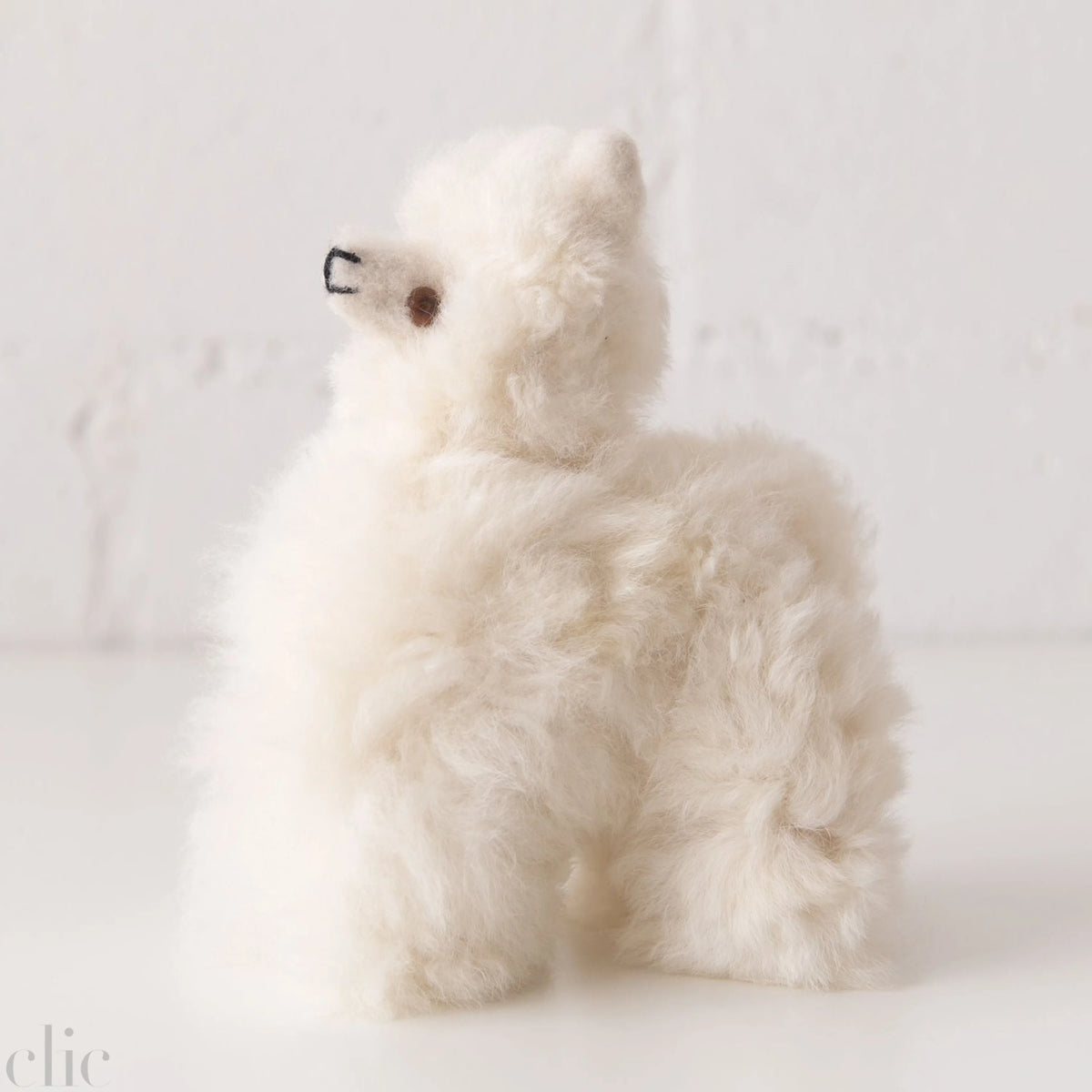 Small Llama in White