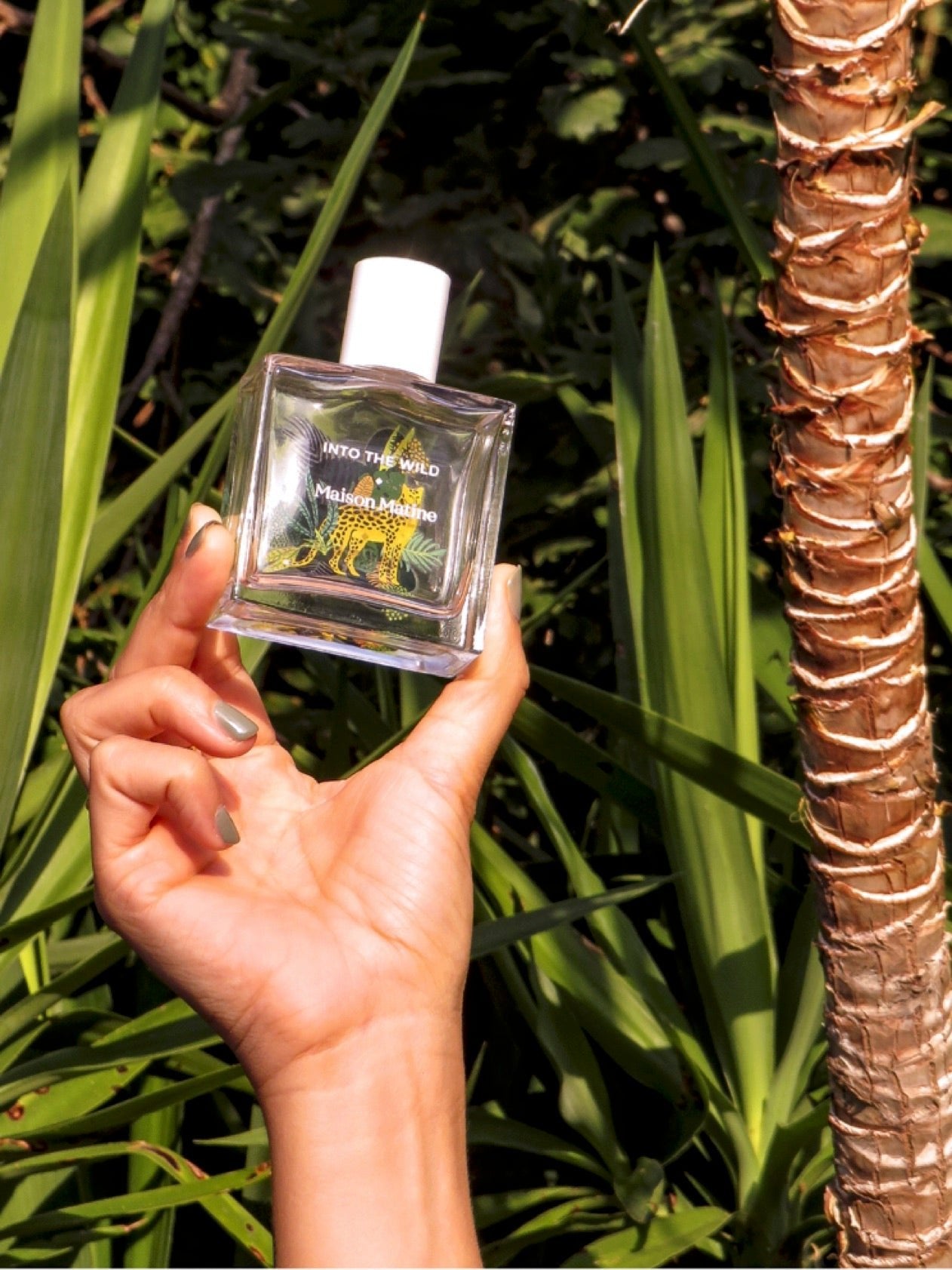 50ML
