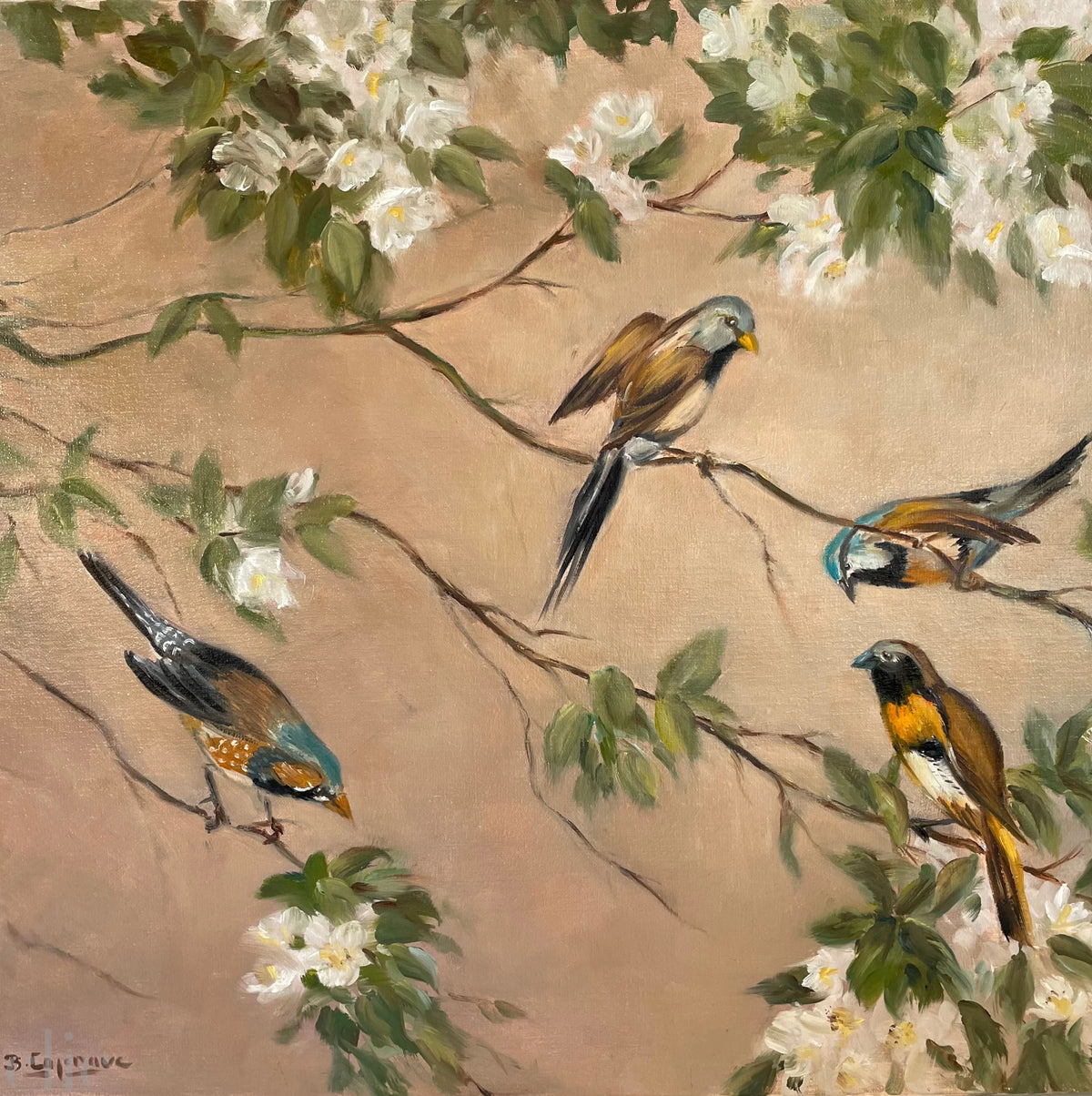 Oiseaux and Flowers Wallpaper, from Alfonz