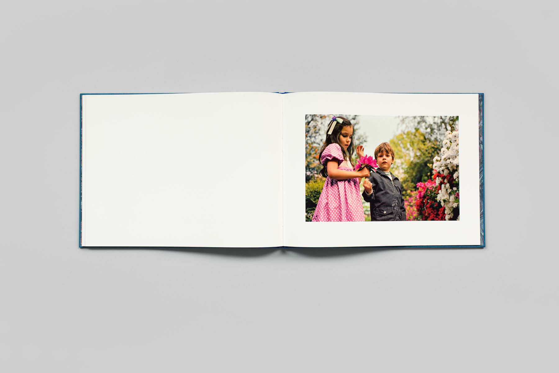 Morals of Vision by William Eggleston