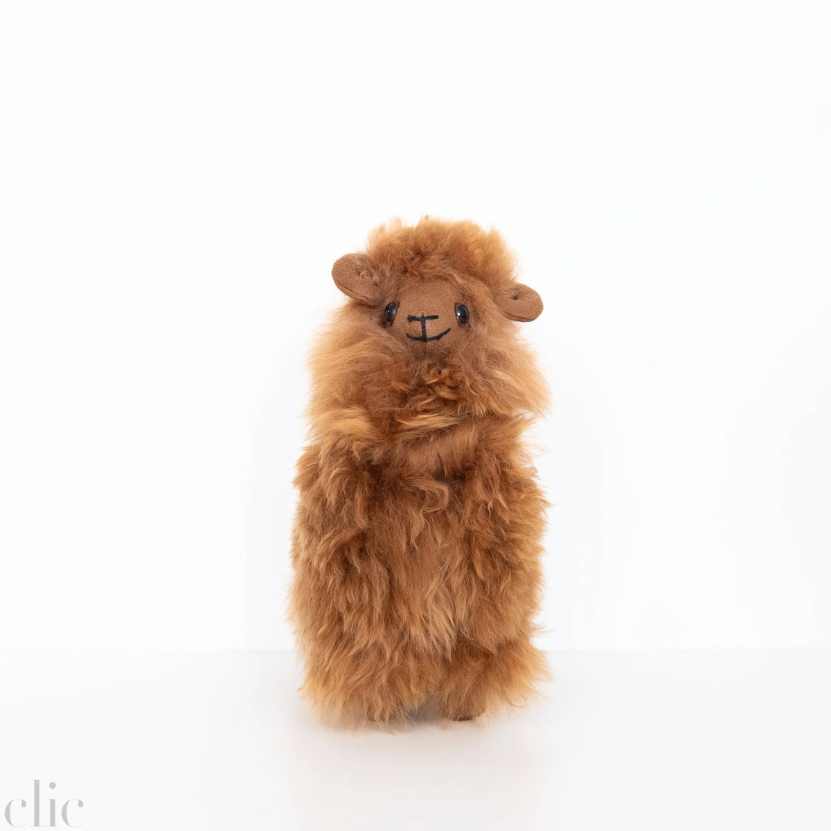 Big Horned Sheep in Brown