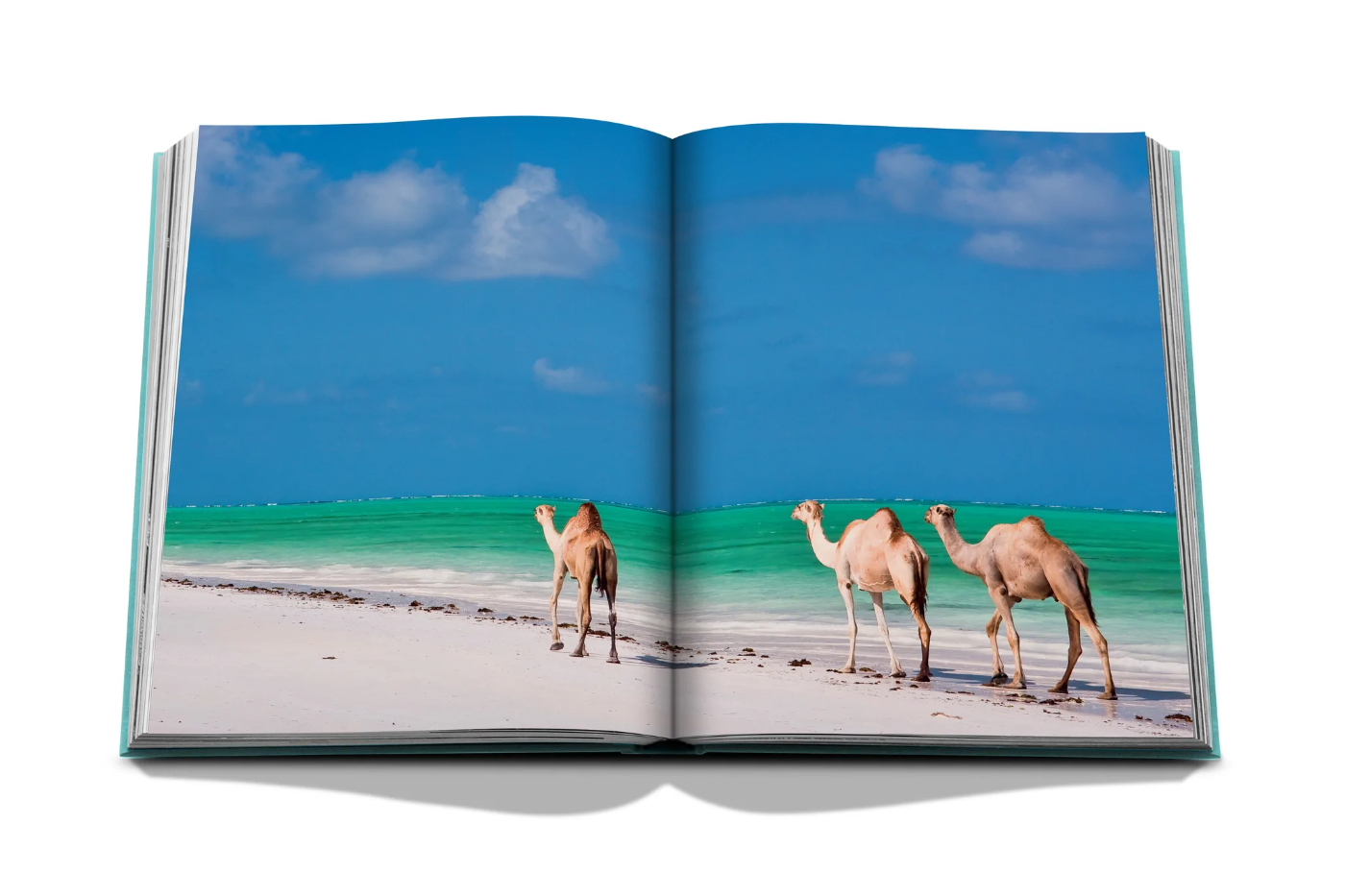 Red Sea, The Saudi Coast