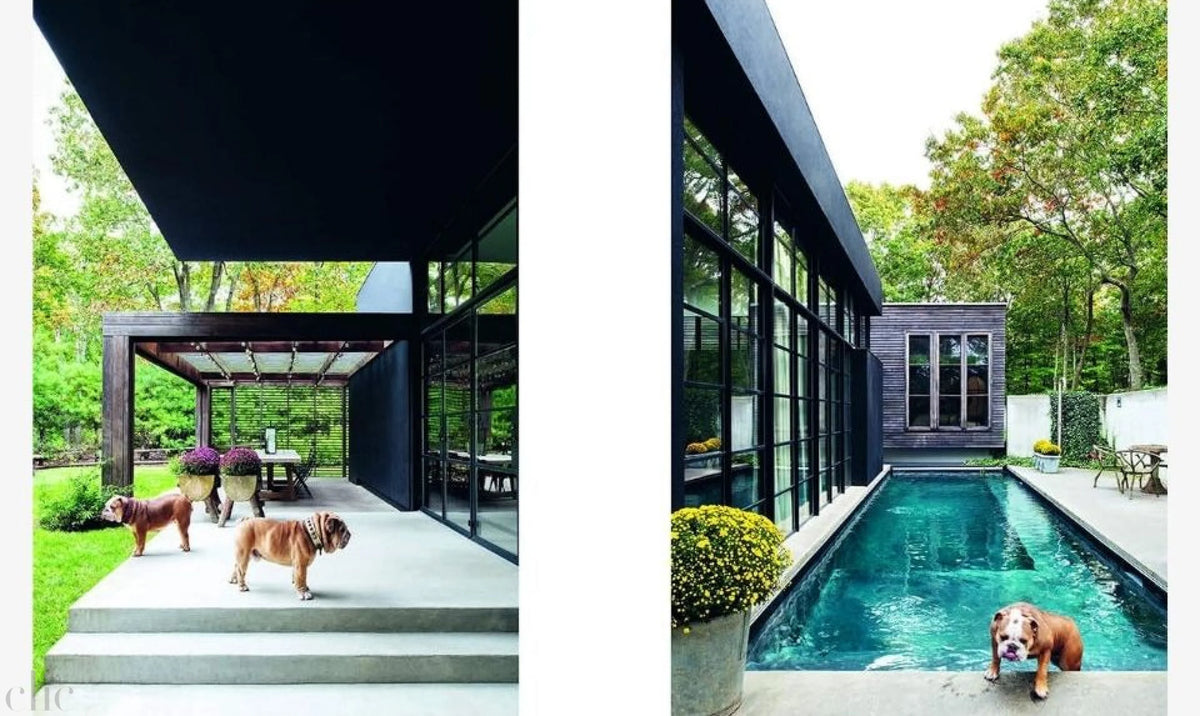 Resident Dog (compact): Incredible Homes and the Dogs That Live There