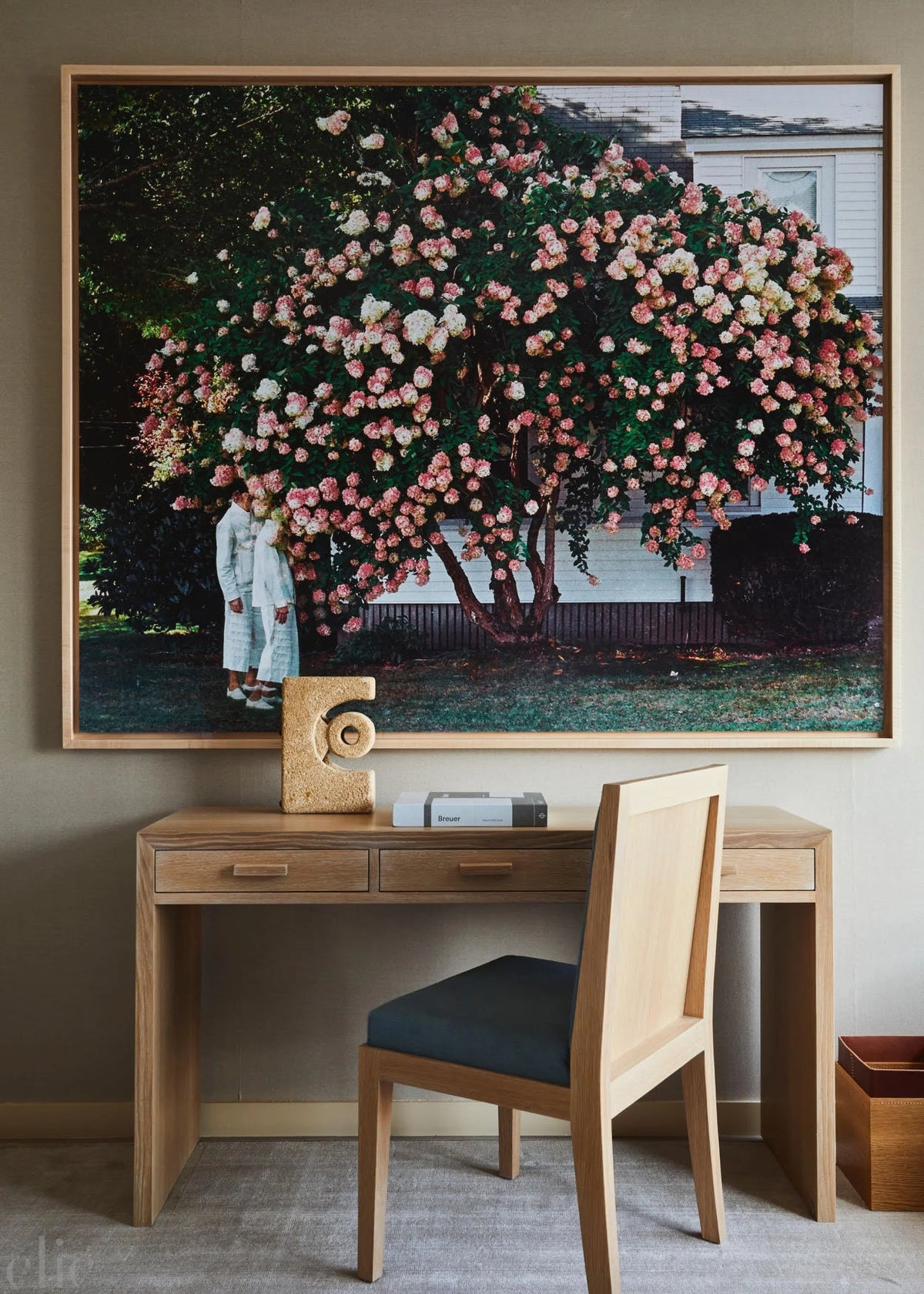 Pink Flower Bush by Matin Zad