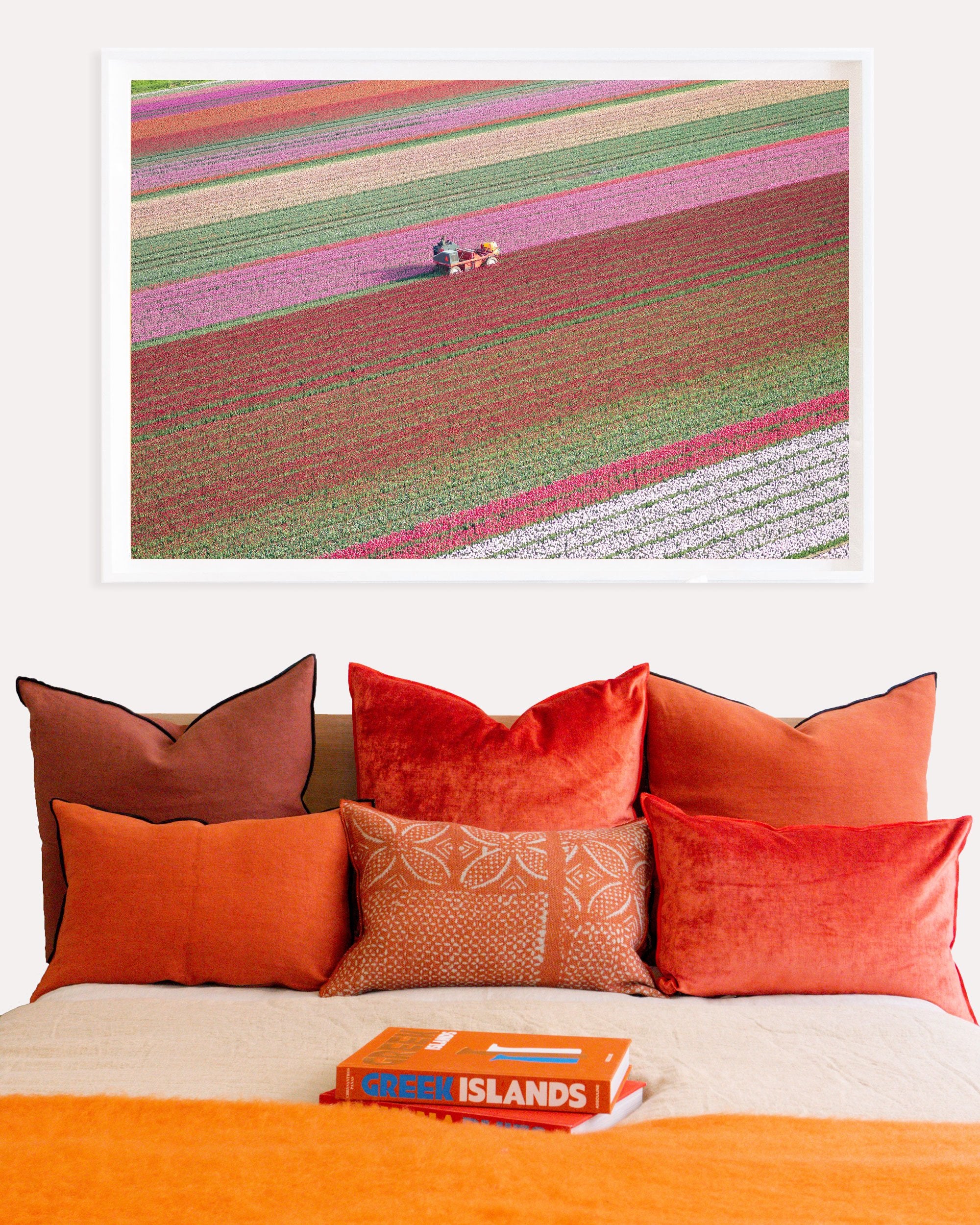Tulip Farming by Kate Holstein