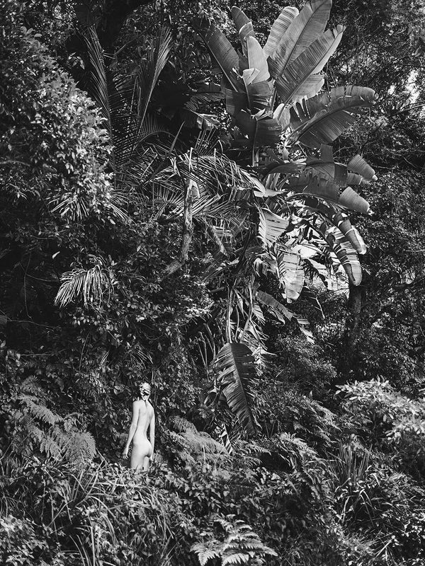 Rainforest by Pottsy
