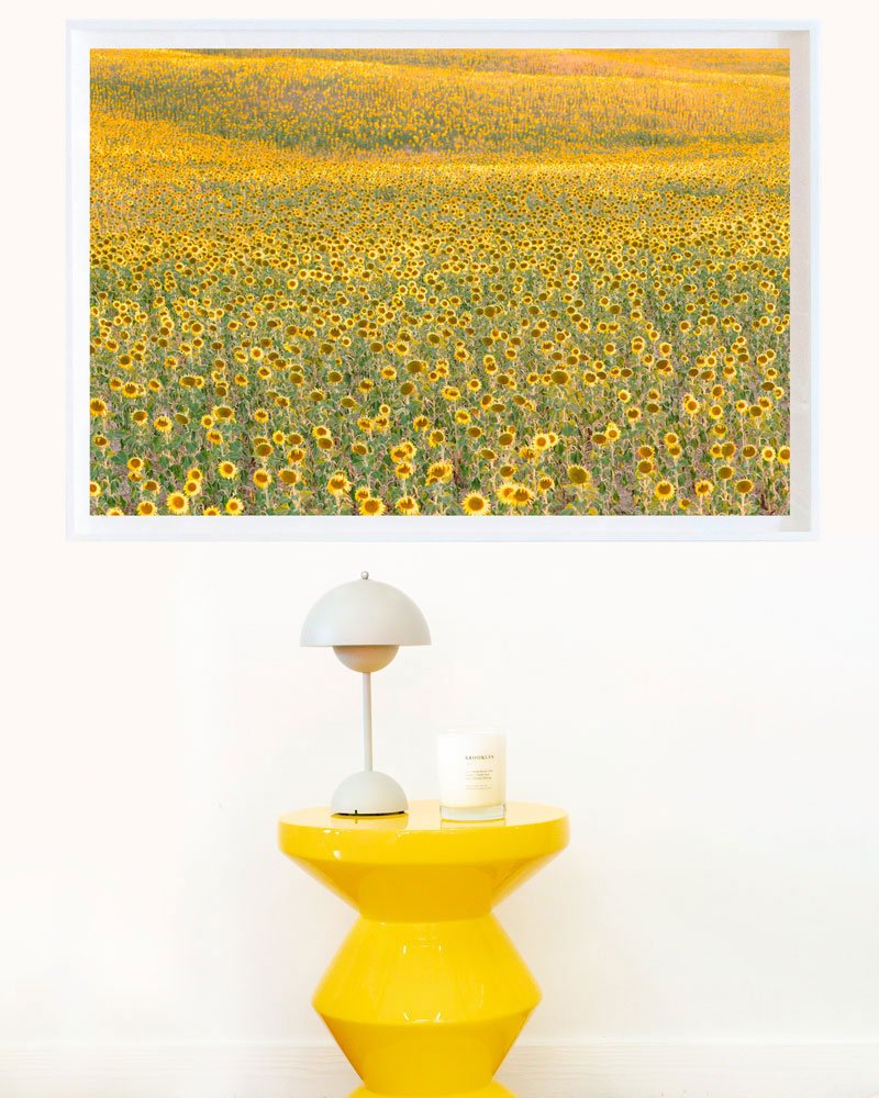 Sunflowers by Kate Holstein