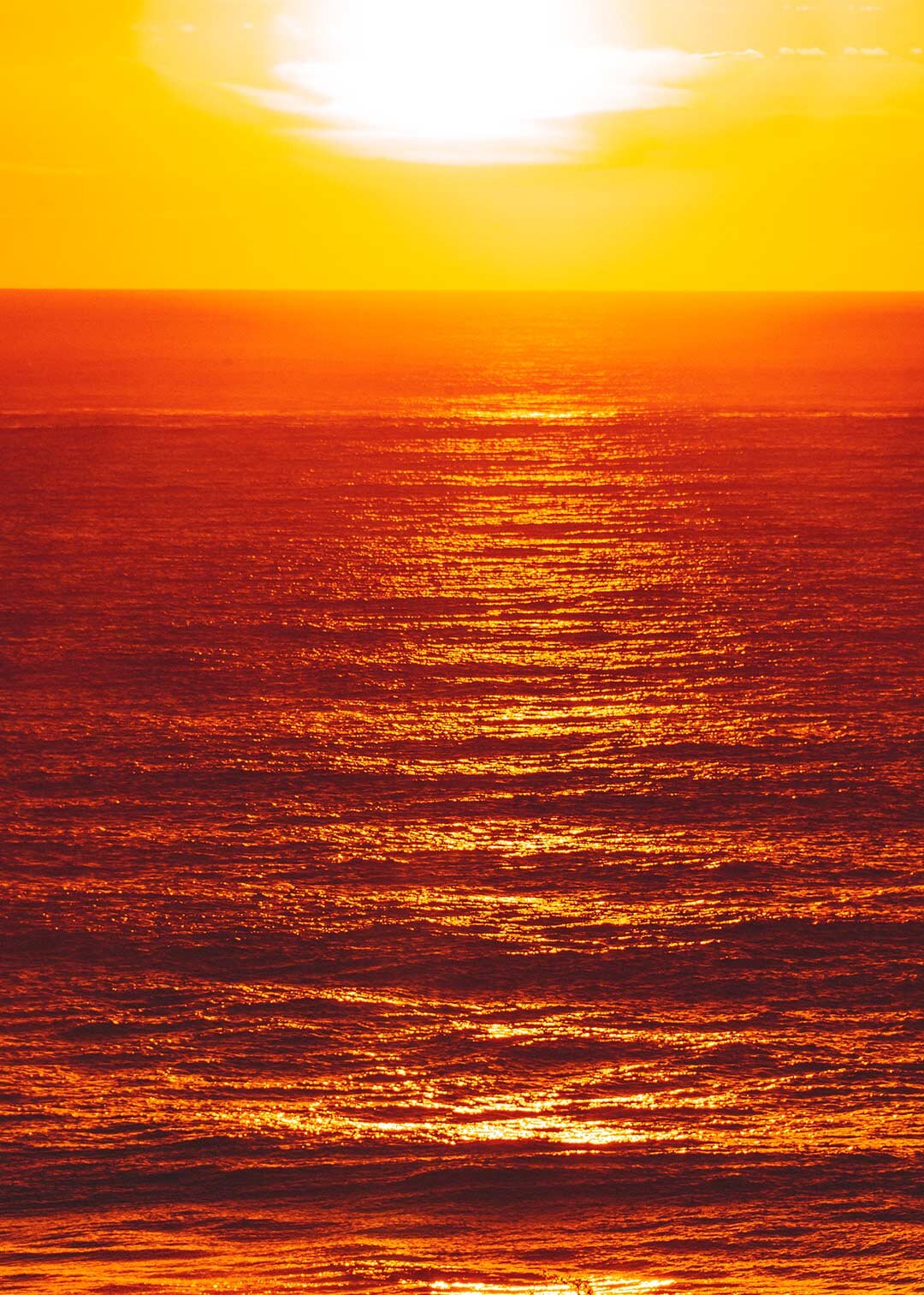 South Bondi Sunrise by Pottsy