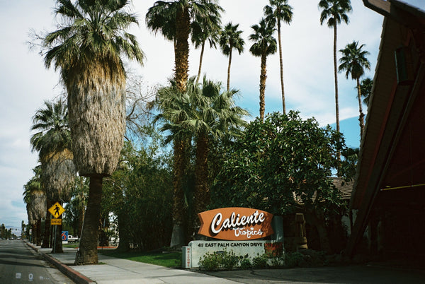 Caliente Tropics -Palm Springs by Melanie Elbaz