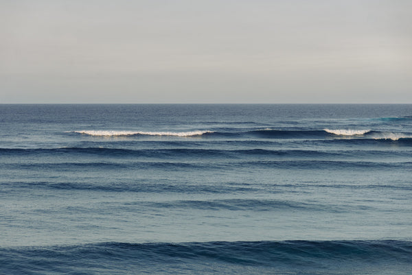 Bondi Waves by Carley Rudd