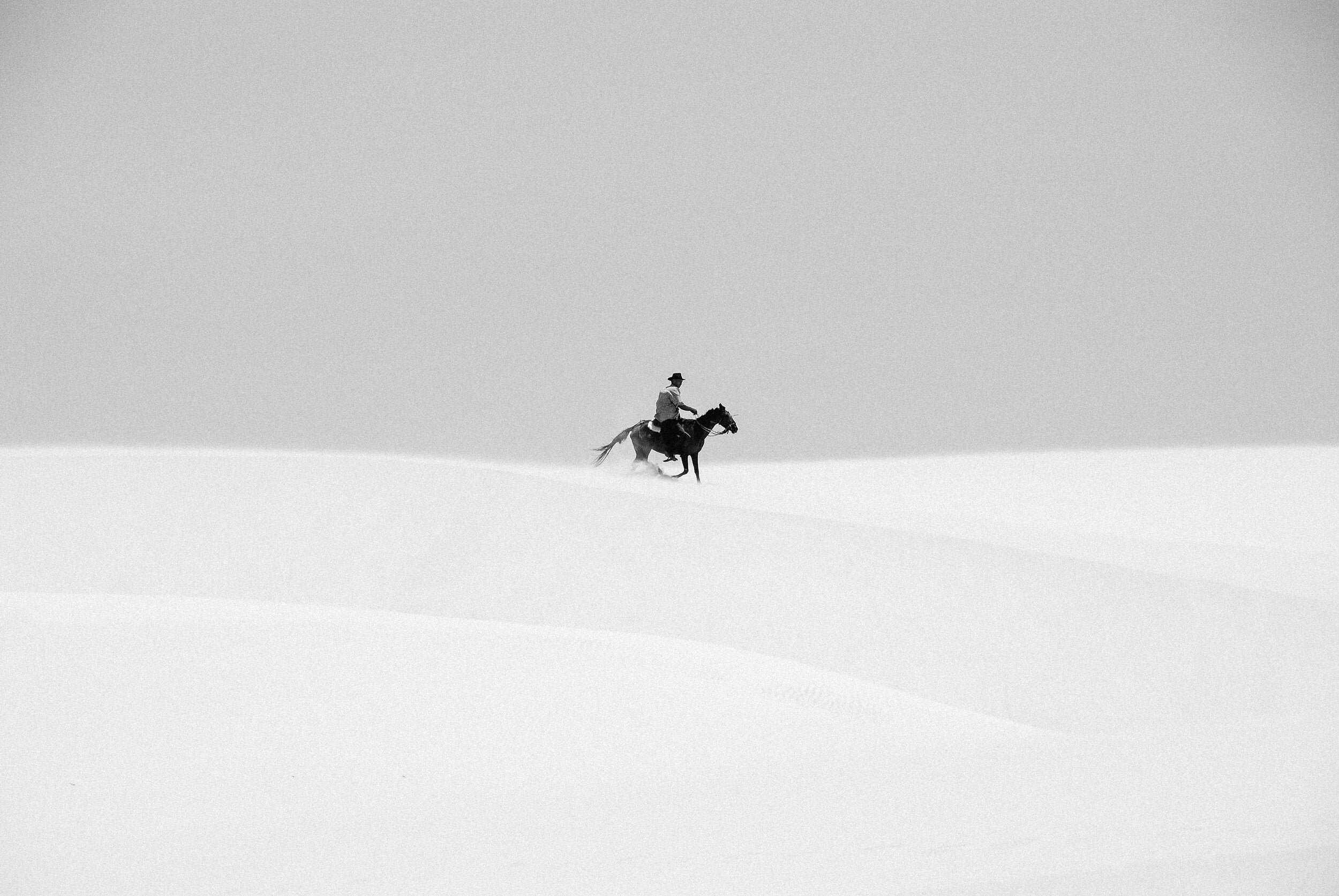 Cowboy by Kate Holstein