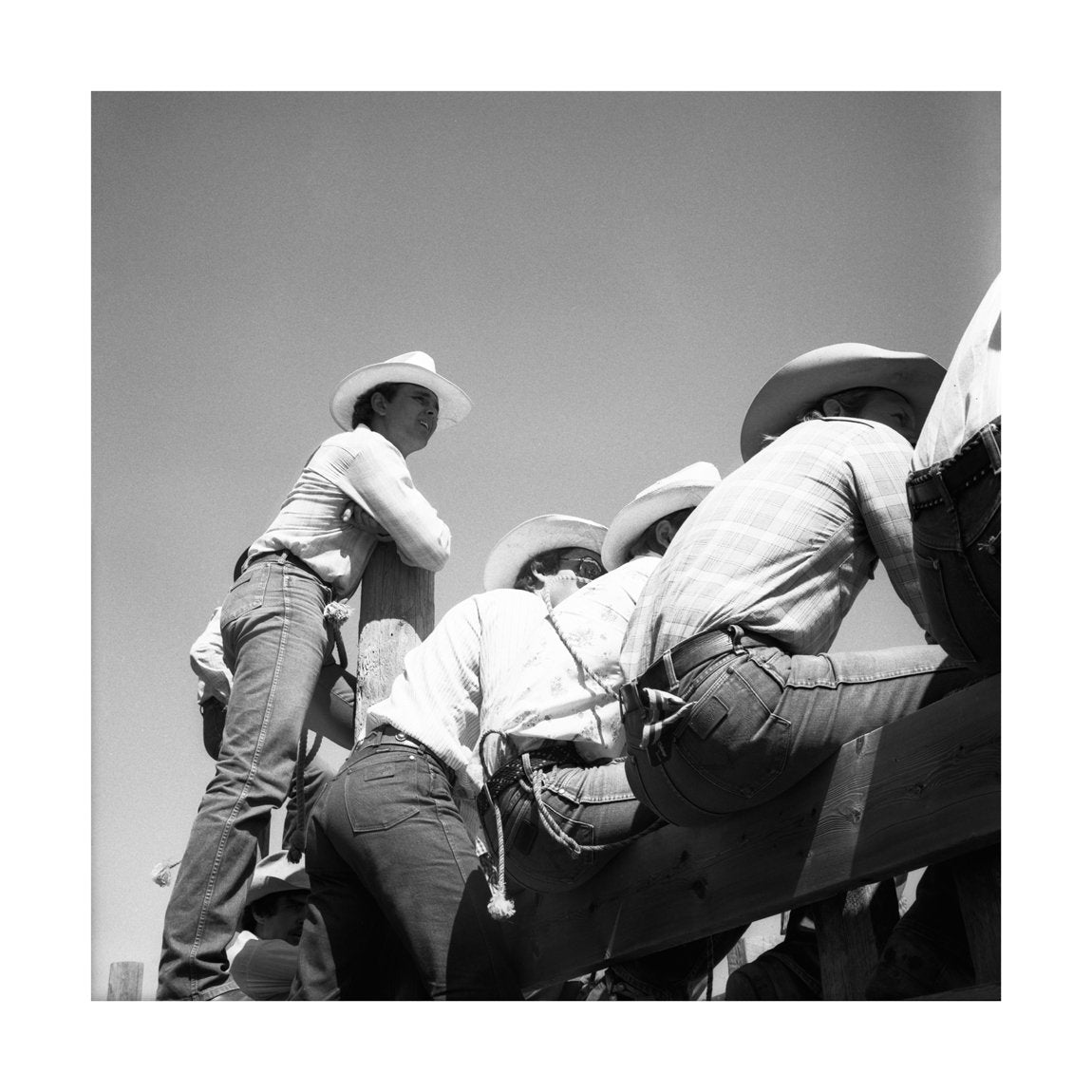 Watching the Competition, 1983 by Drew Carolan