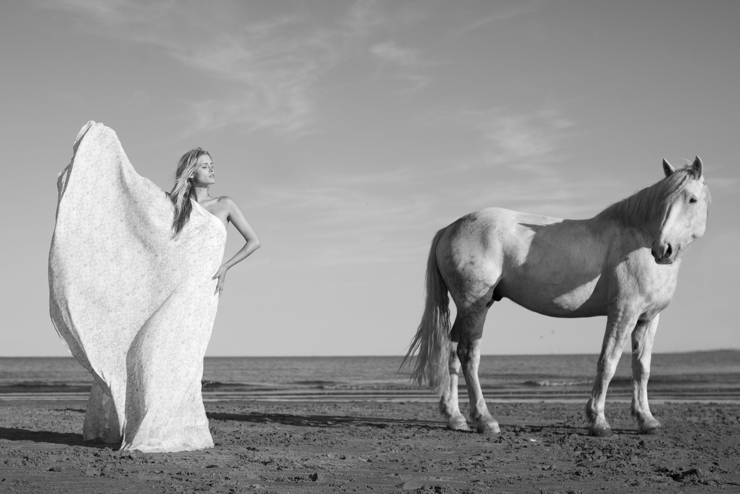 Heaven and Horse by Nick Turner
