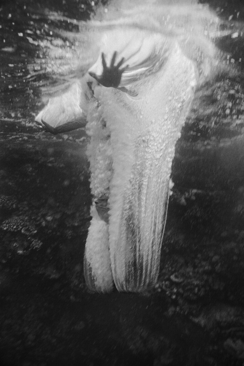 Jumping into Ocean (B-444) by Wayne Levin