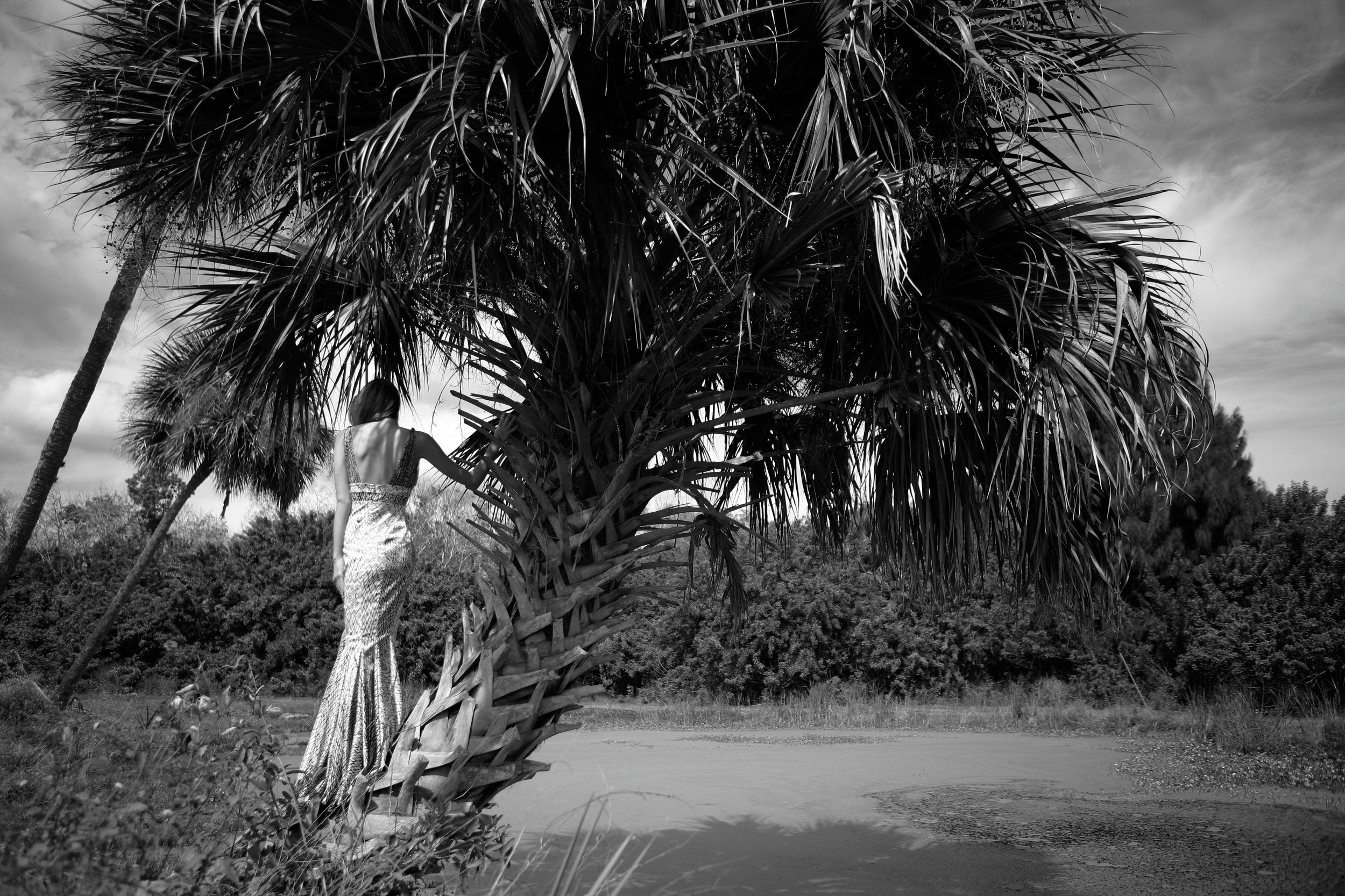 Alligator Pond by Charity de Meer