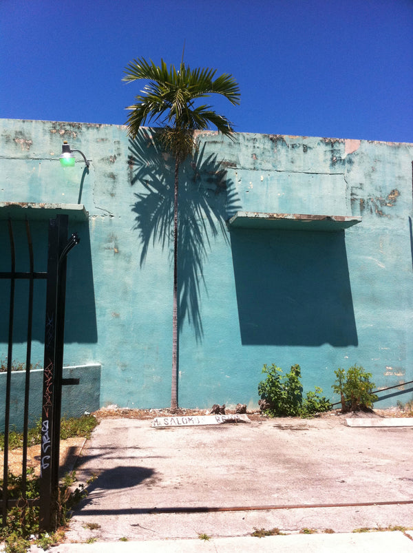 Miami Mur Turquoise by Melanie Elbaz