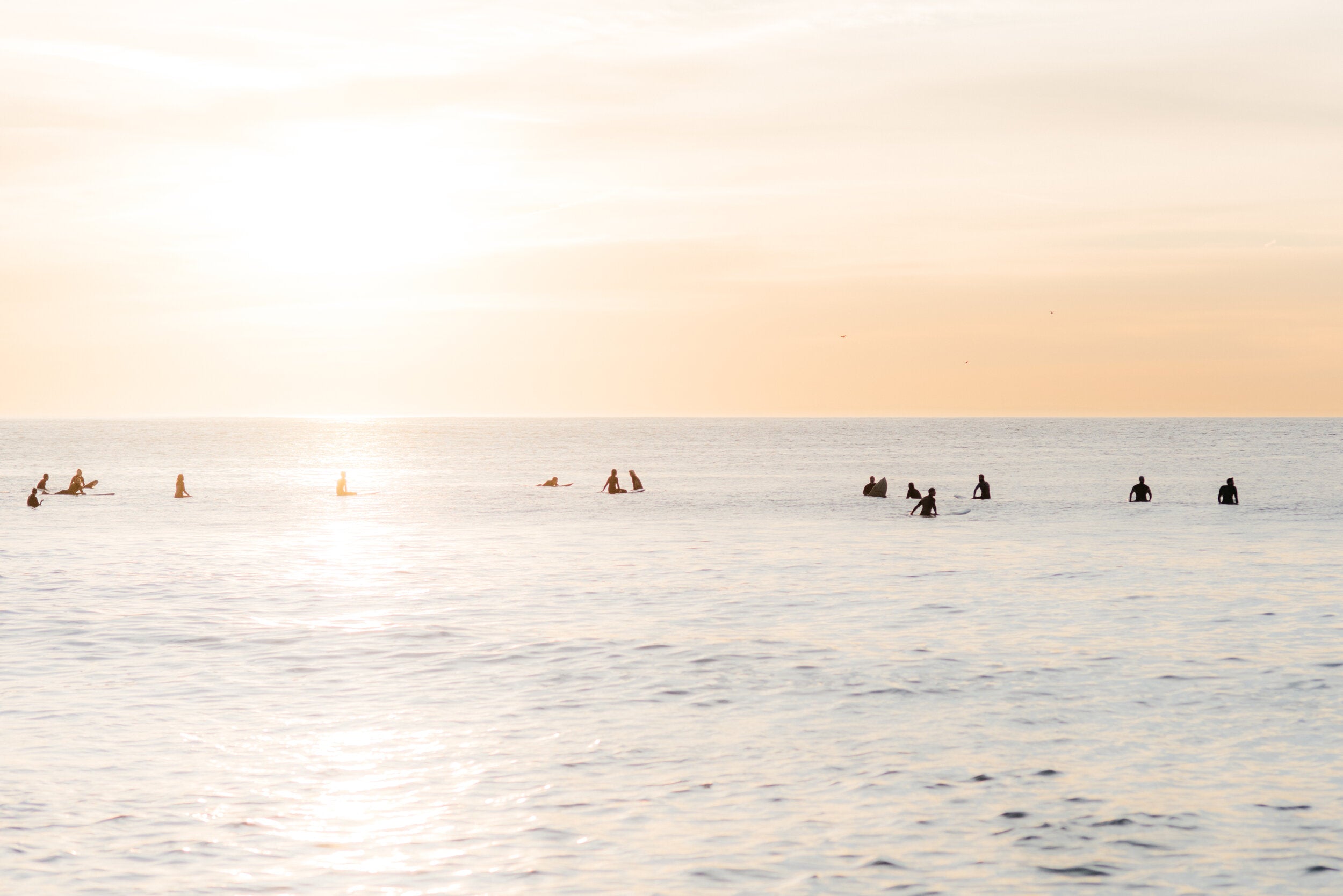 Dawn Patrol by Kate Holstein