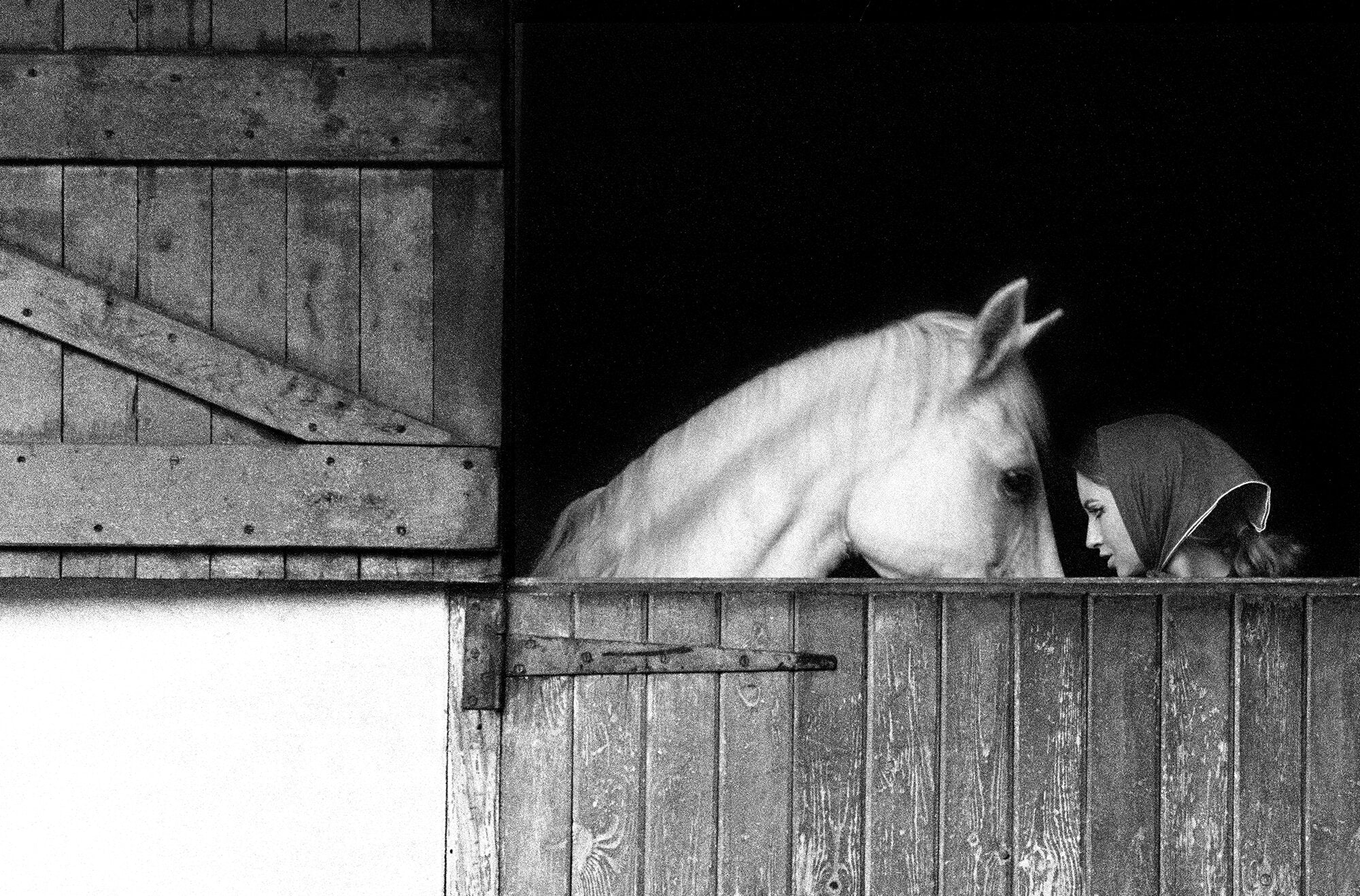 November Girl Stable by Sam Haskins