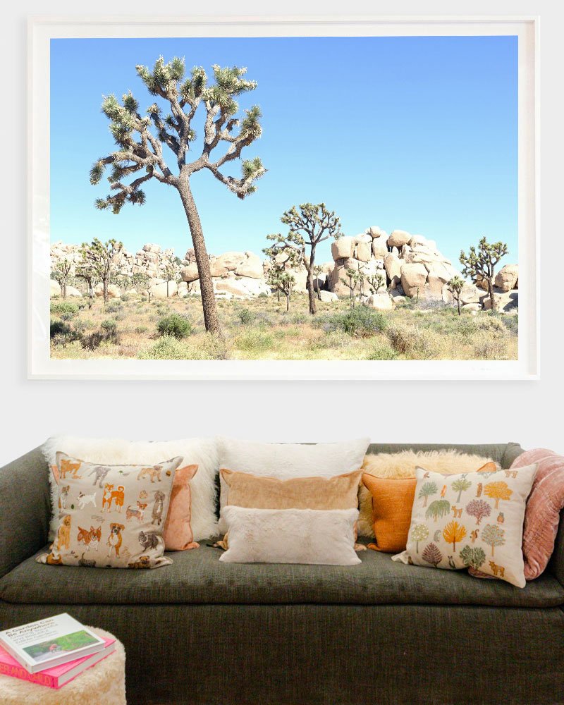 Joshua Tree Park 5 by Juliette Charvet