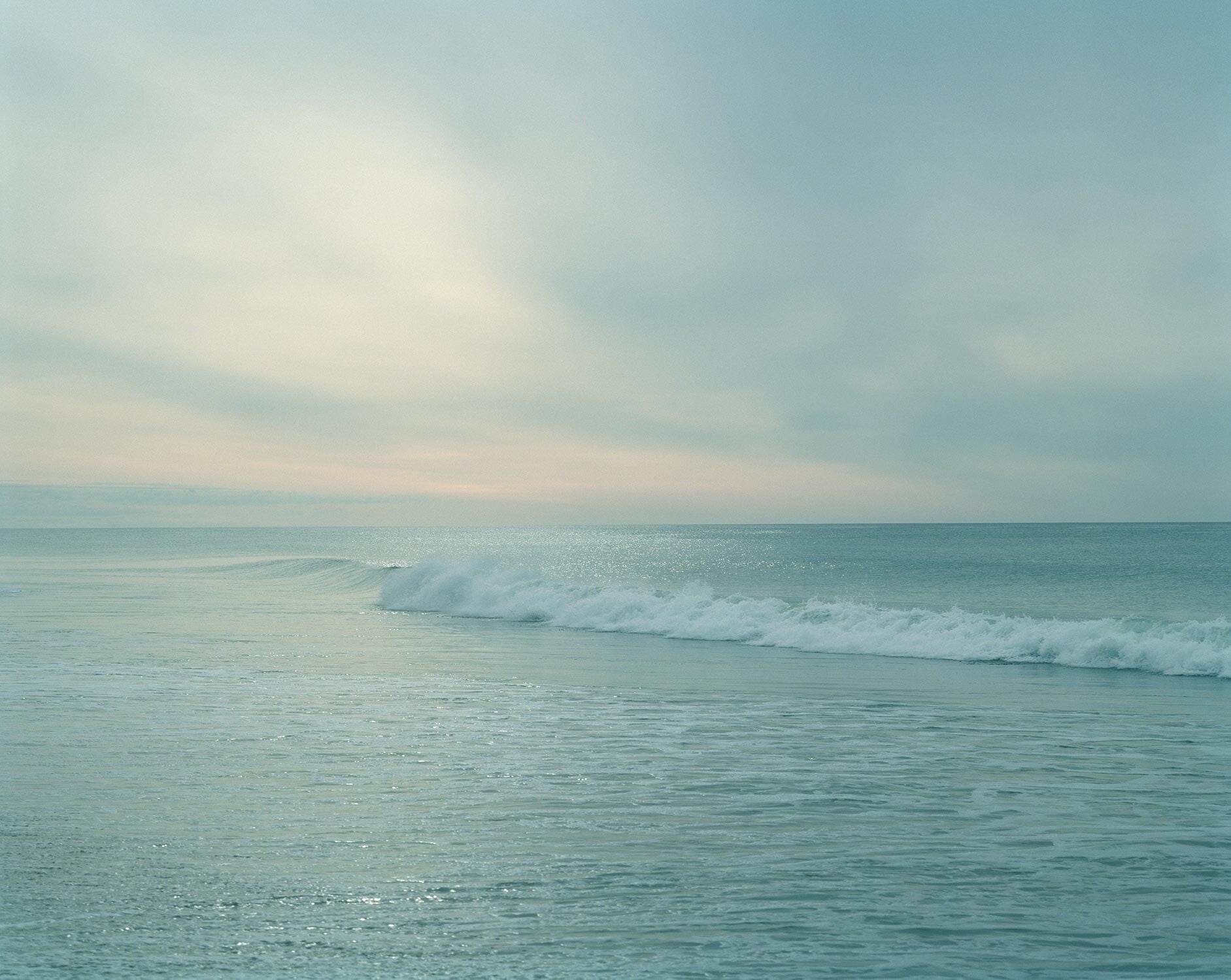 Shimmer by Tria Giovan