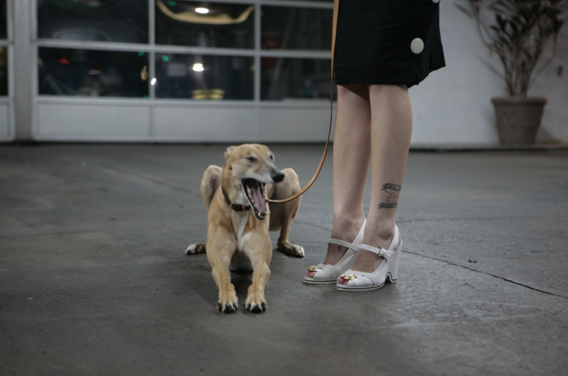 Allie and Ginger by Charity de Meer