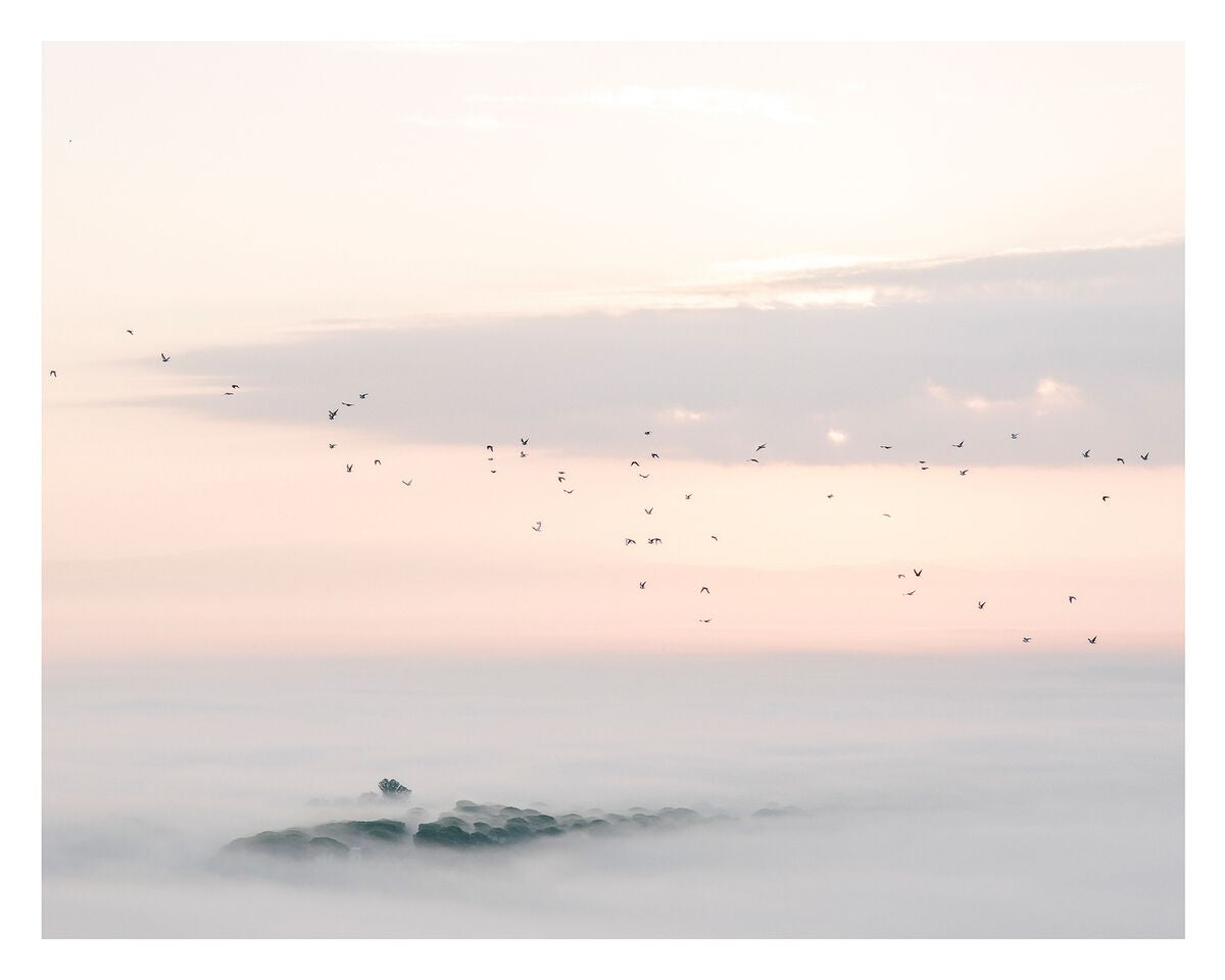 Andalusia Sunrise by Kate Holstein