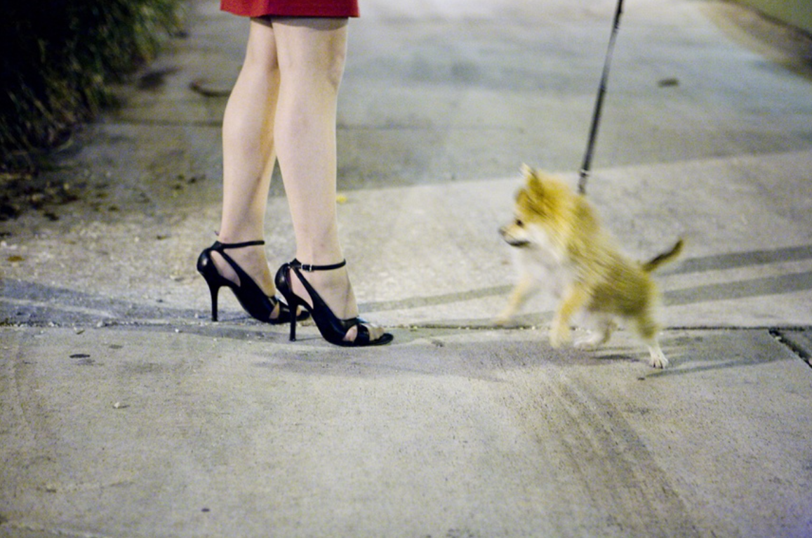Pom in Key West by Charity de Meer