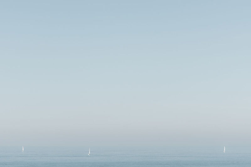 Malibu Sail by Kate Holstein