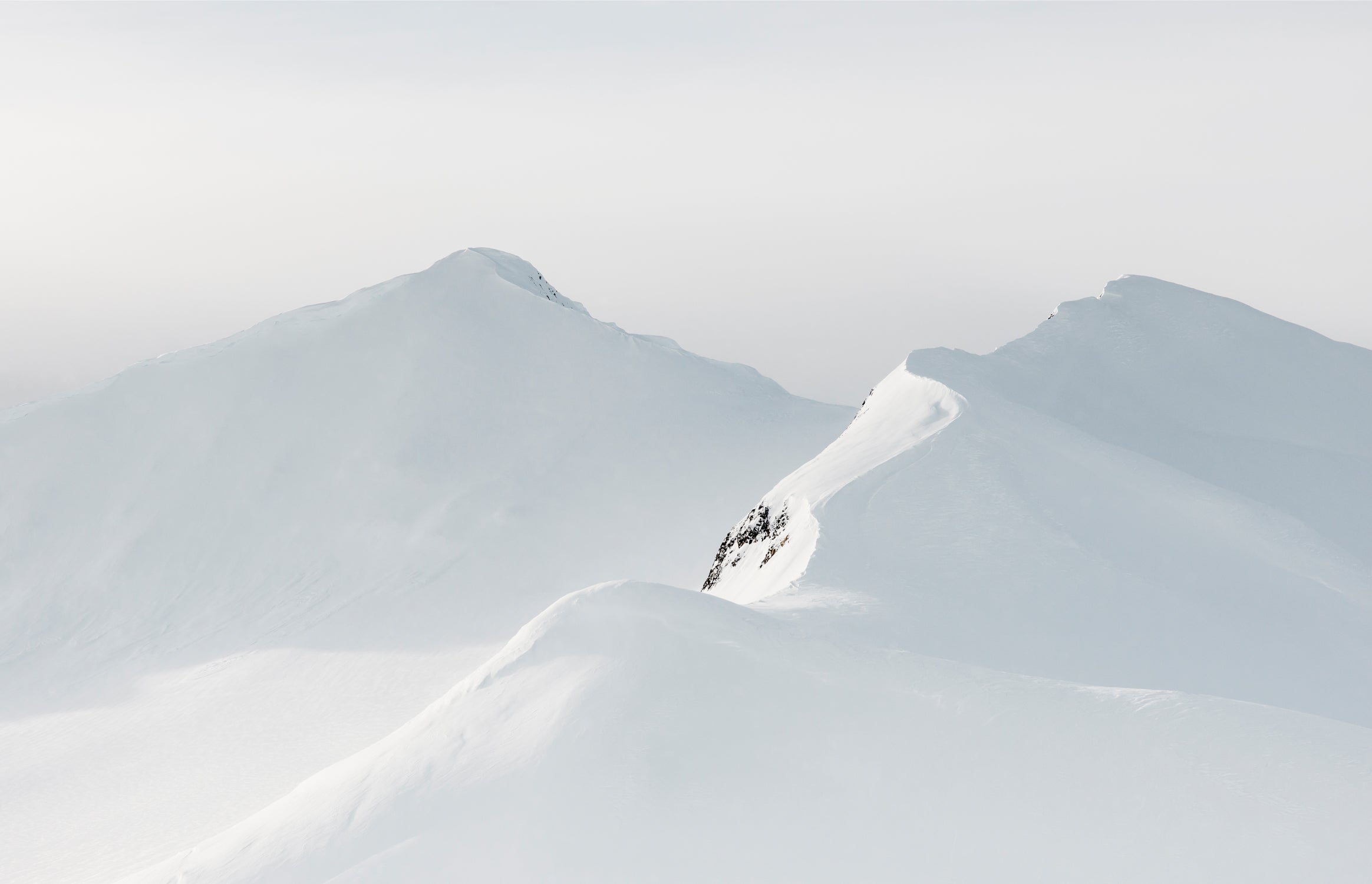 Monte Rosa by Kate Holstein