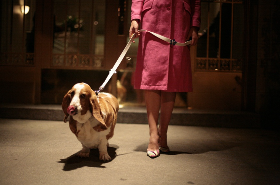 Park Avenue by Charity de Meer