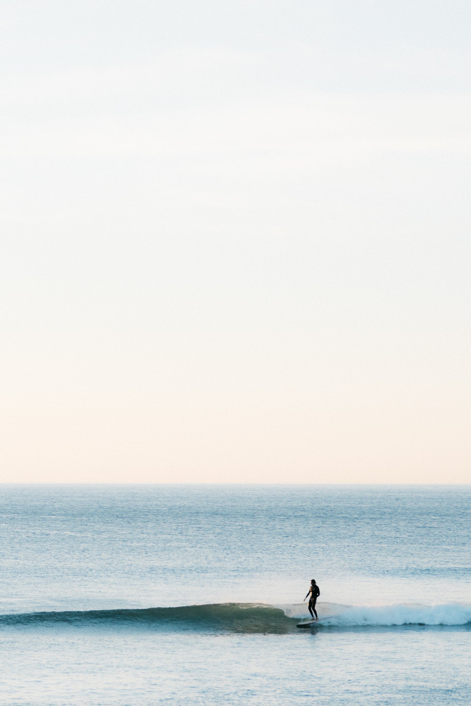 Surfrider by Kate Holstein