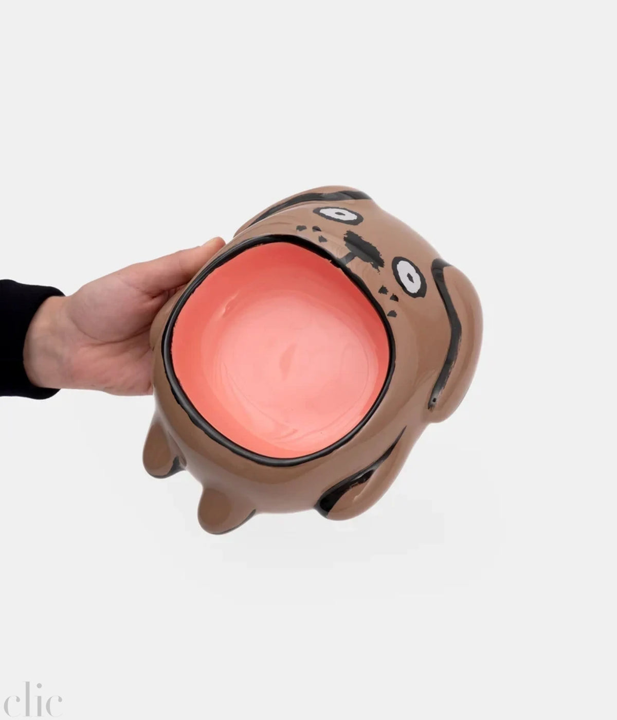 Dog food Bowl