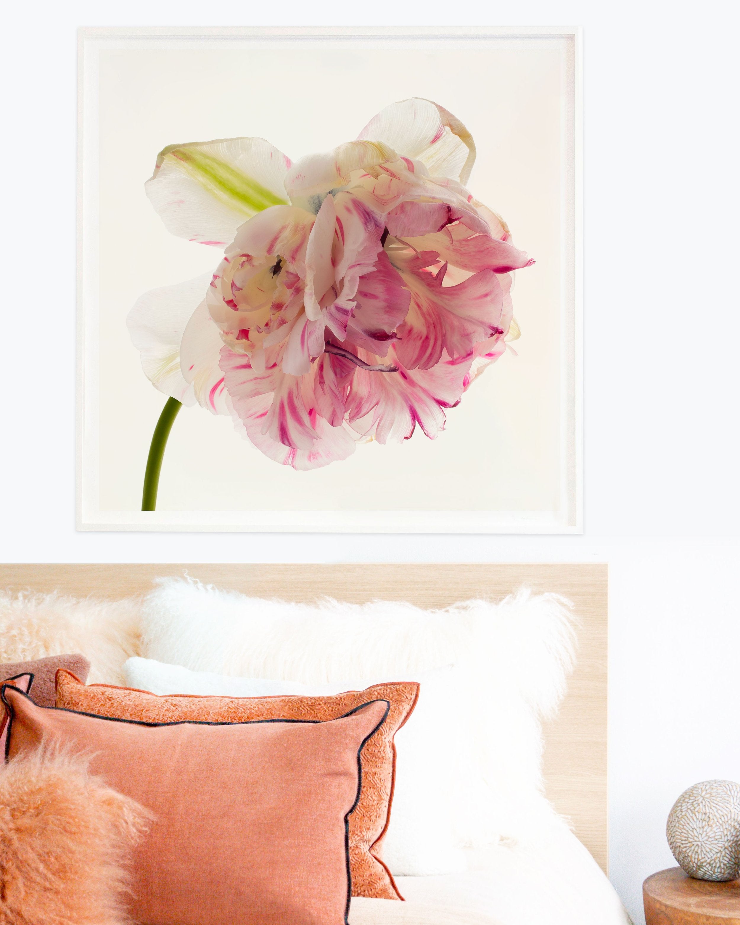 Flower Study 3 by Blaise Hayward