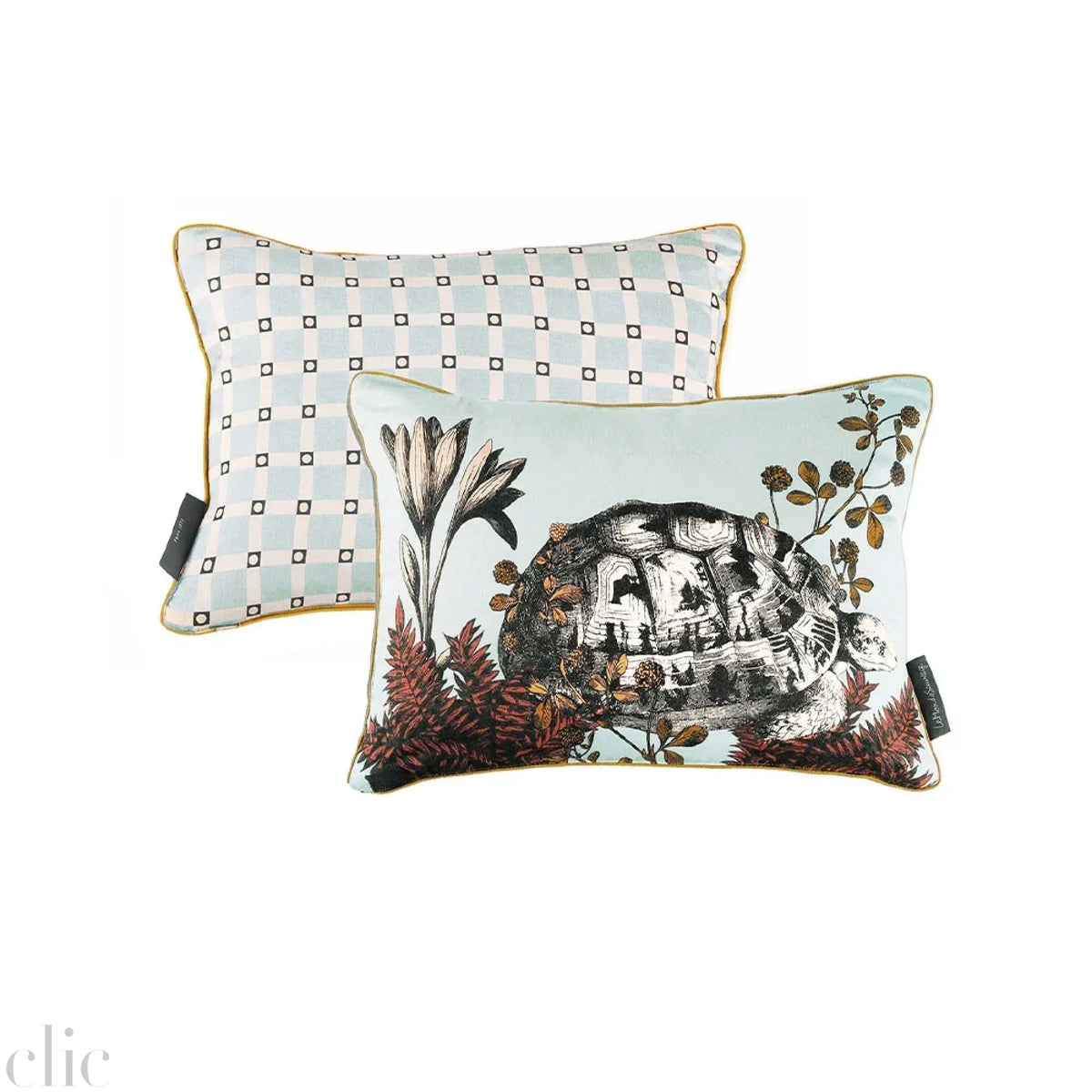 Medium Beastiaire Tortue Cushion